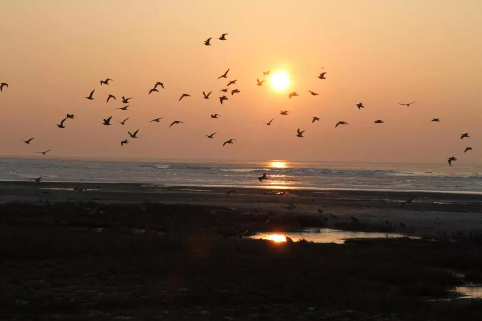 Duinchalet-Gebieden zomer 20km