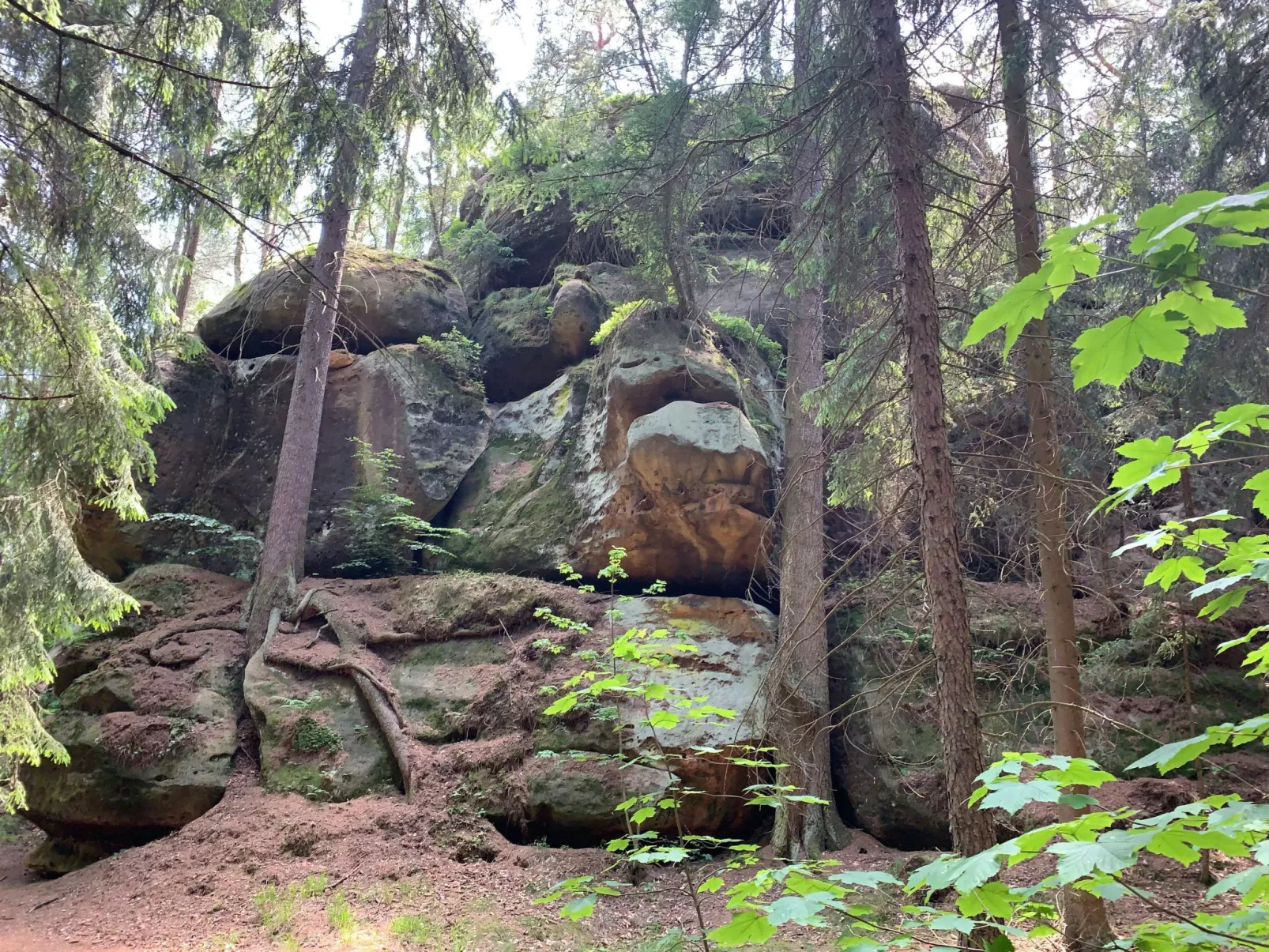 Waldferienhaus Dunja mit Sauna, Whirlpool, direkt am Waldrand, Kletterfelsen - Image-tags.info