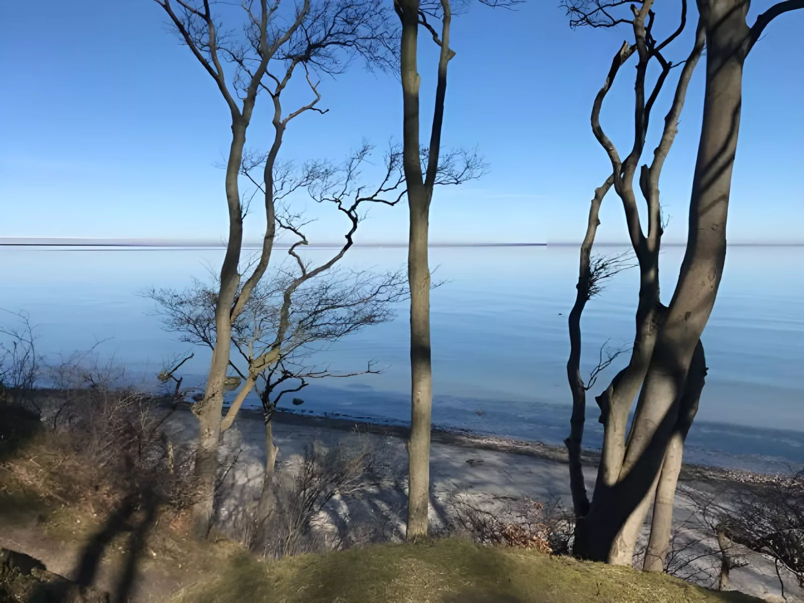 Carpe diem - Image-tags.info