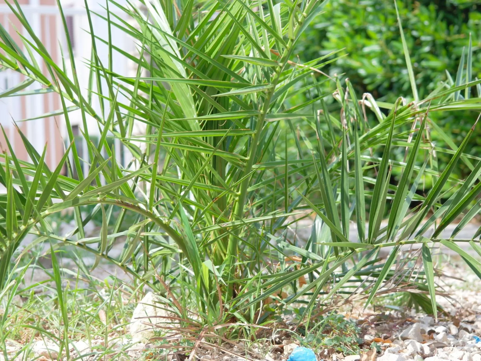 Stonehouse-pag - Image-tags.info