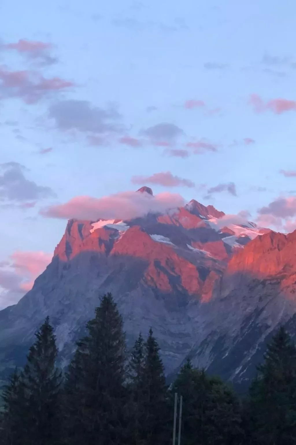 Im grünen - Image-tags.info