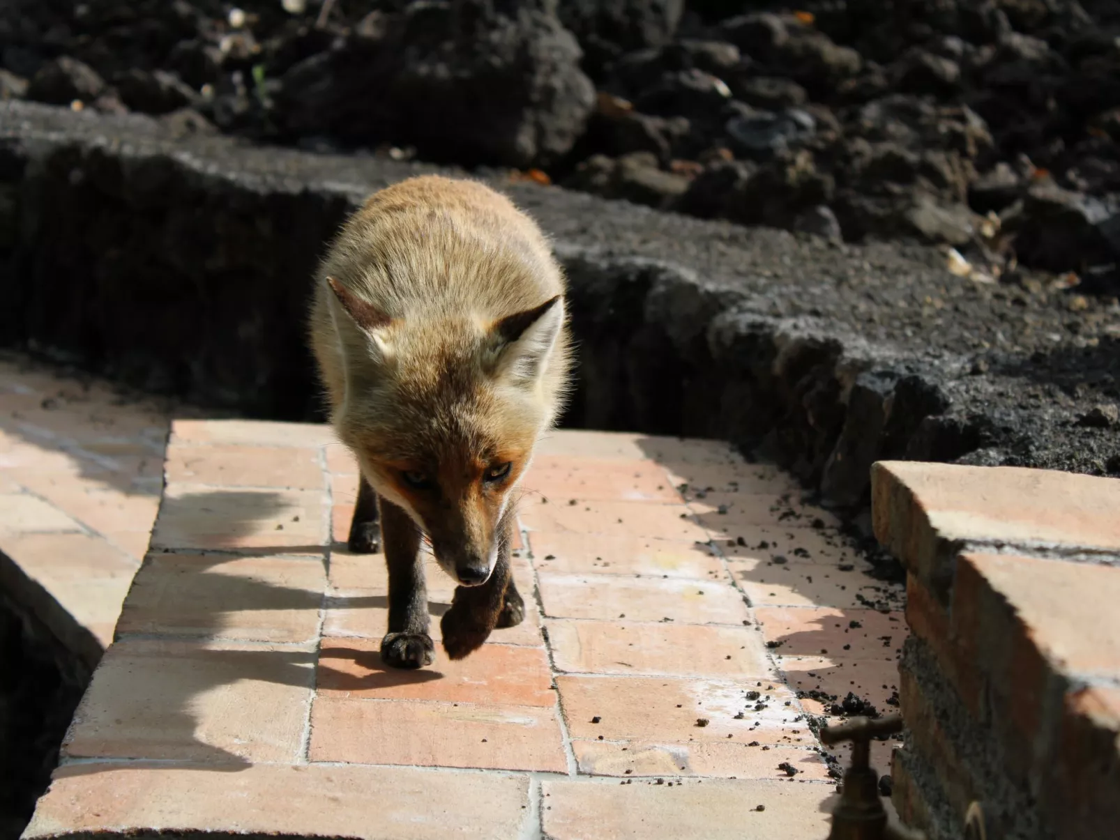 Mathilde's Chalet Naturhaus - Image-tags.info