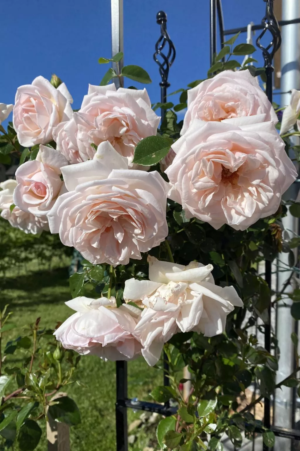 Ruhig mit einem herrlichen Blick auf die Berge. - Image-tags.info