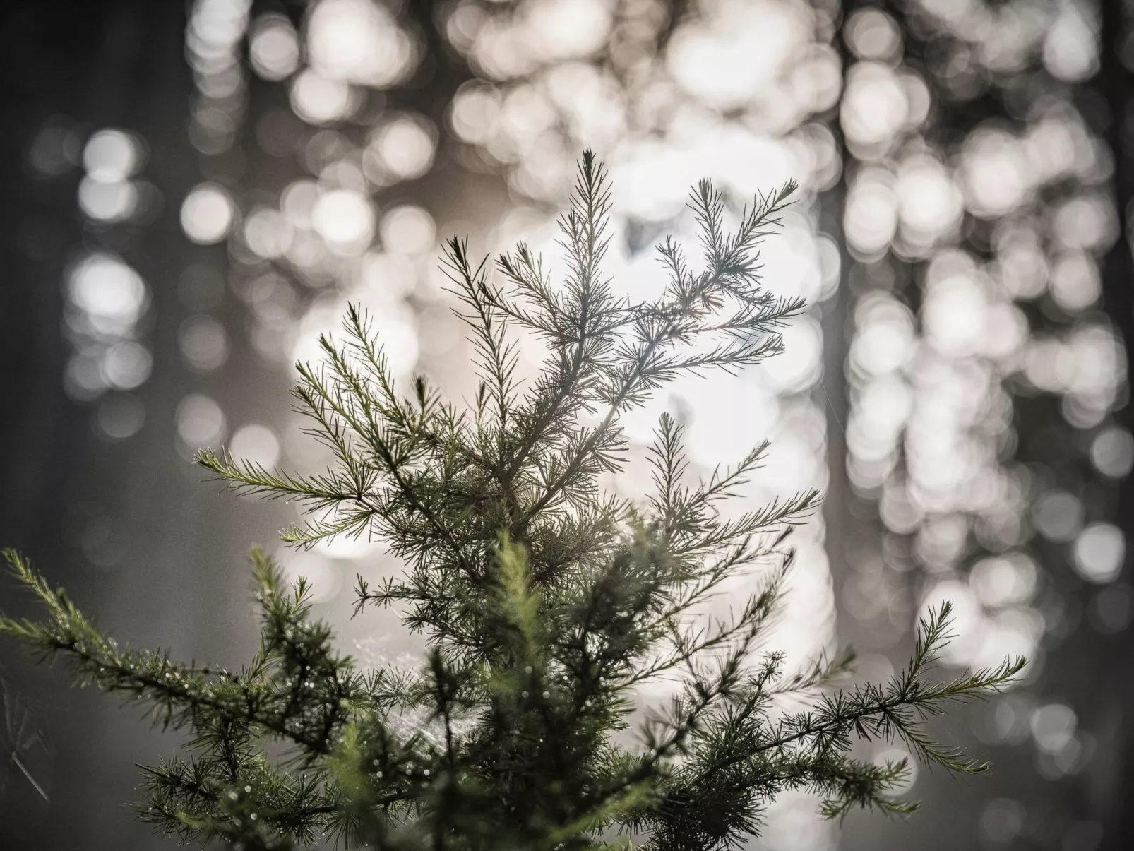 Berg Hütte Hochpillberg - Image-tags.info