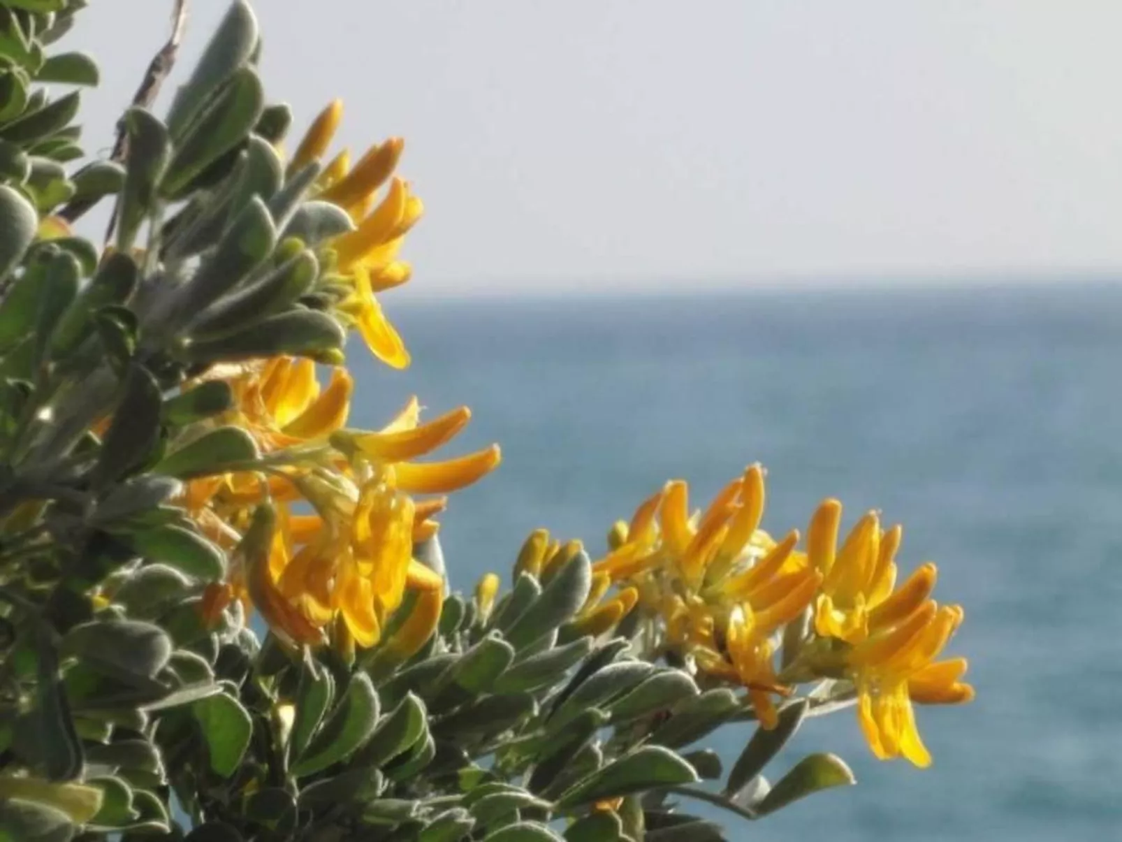 Locations-06 - la maison de noelie - Gartengeschoss - Image-tags.info