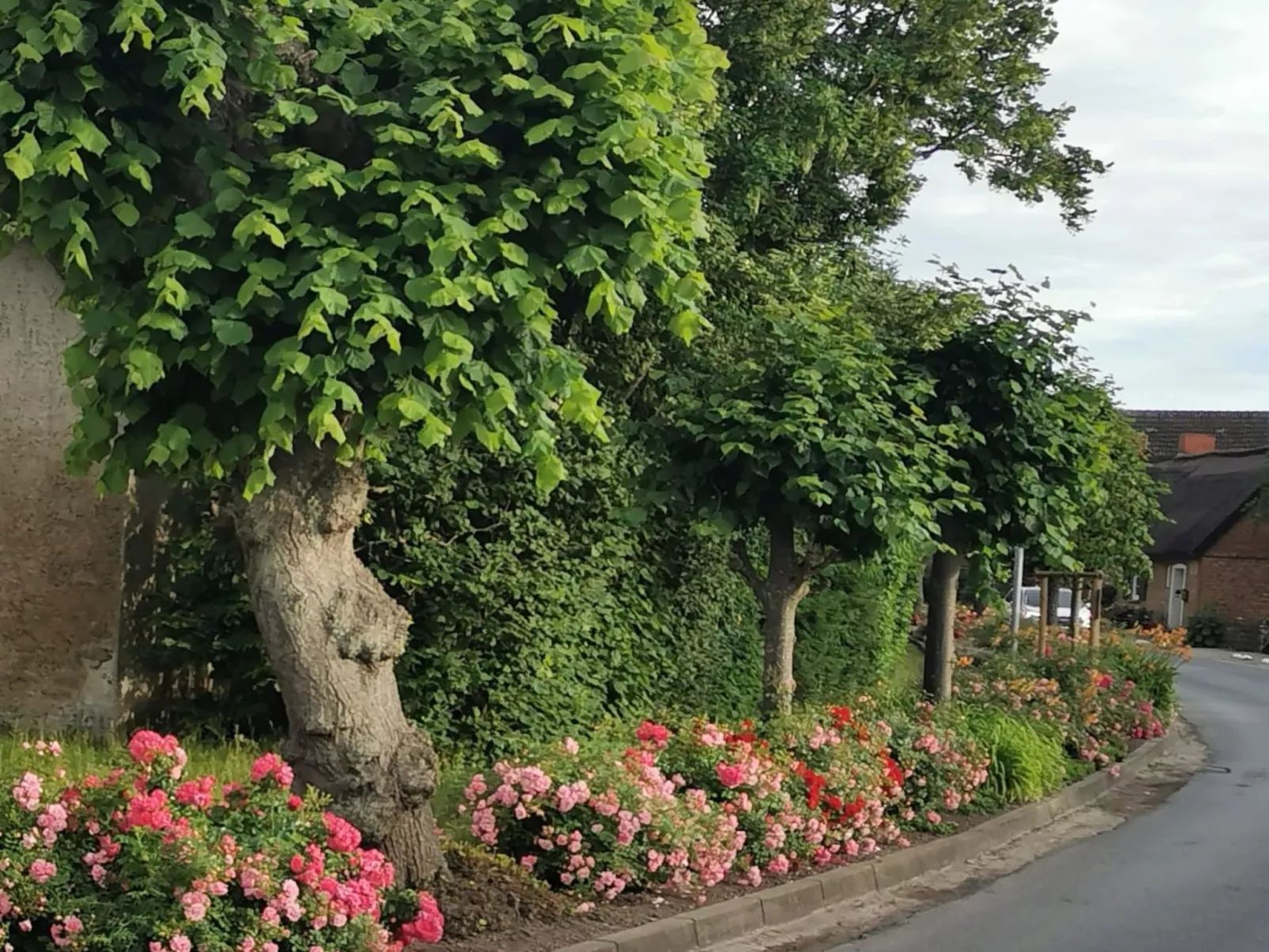 Wohnung für vier Personen im Erdgeschoss - Image-tags.info