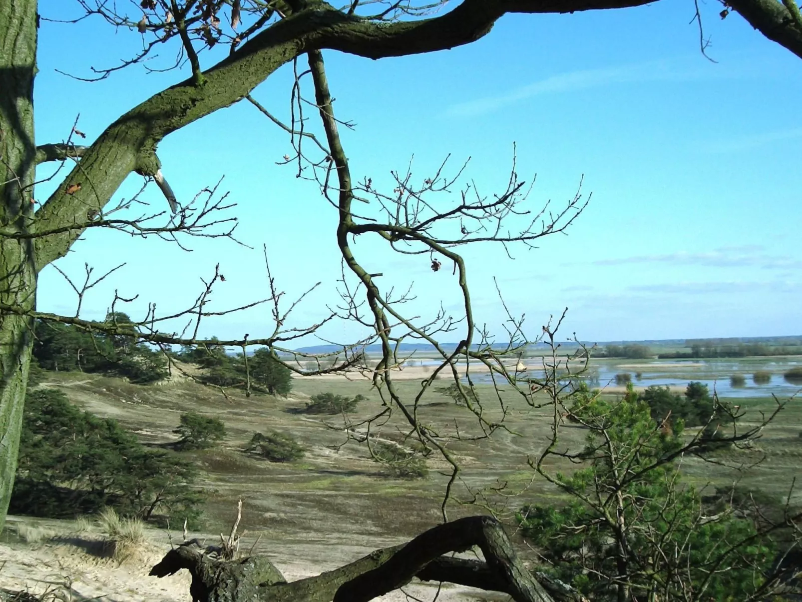 Zwei-Zimmer-Wohnung mit Wintergarten - Image-tags.info