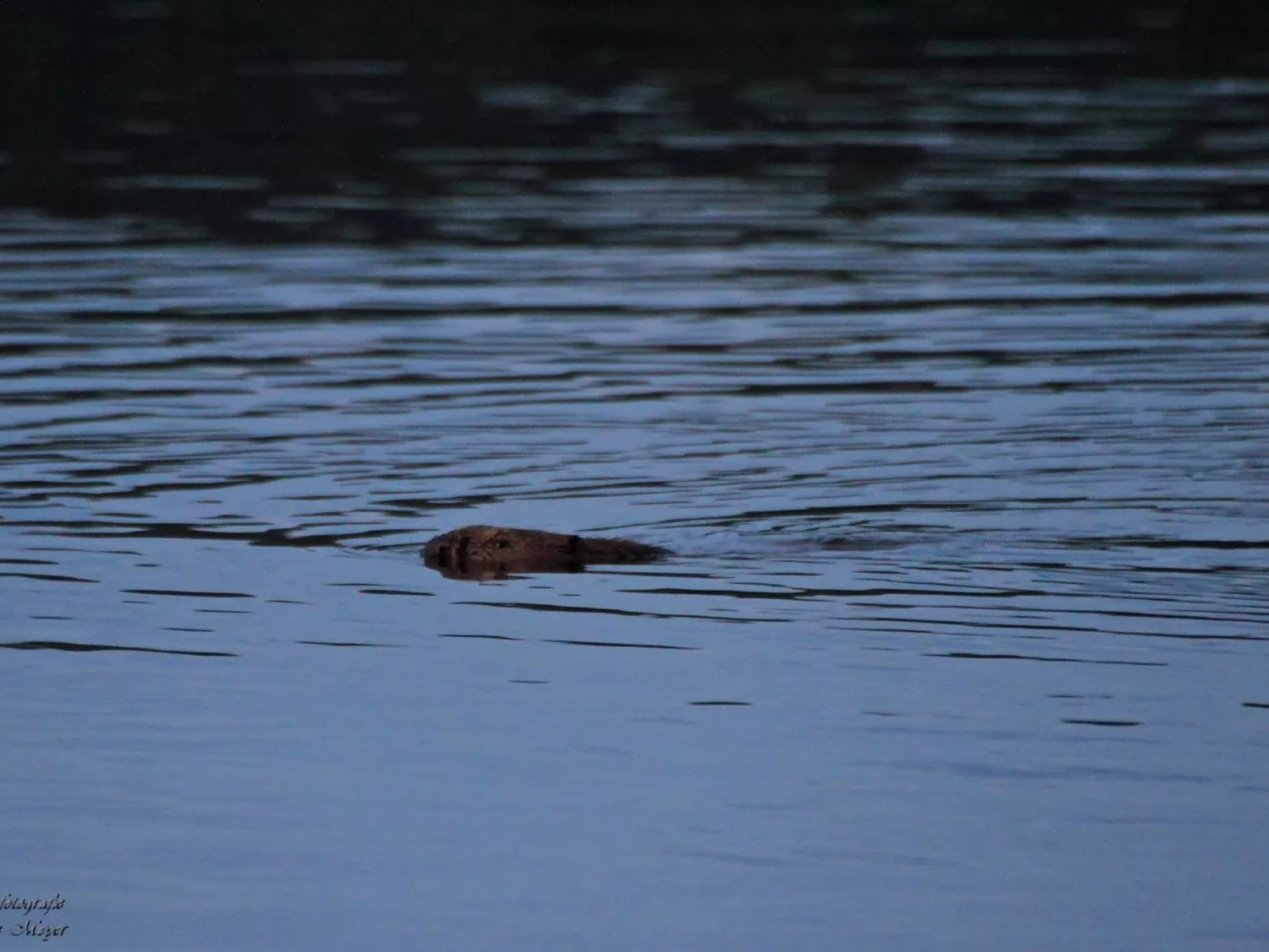 Elbufer 4B - Image-tags.info