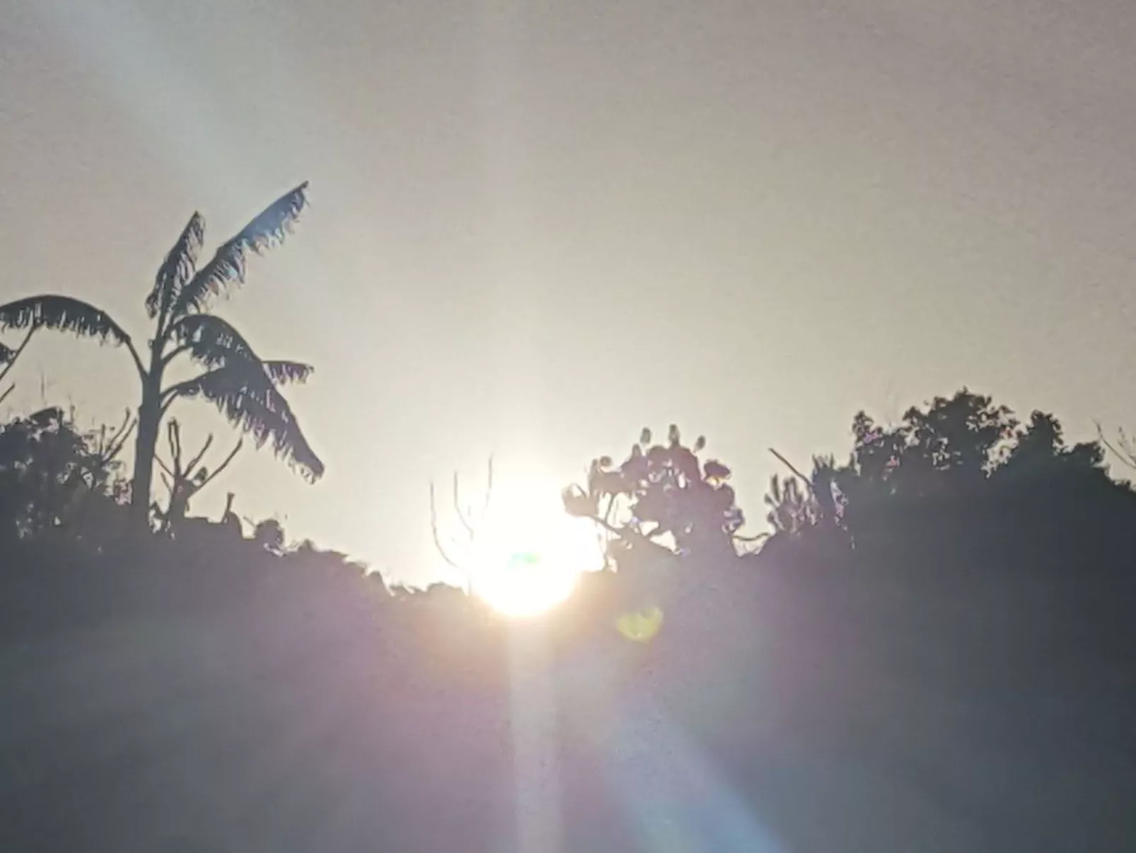 Primavera - Image-tags.info