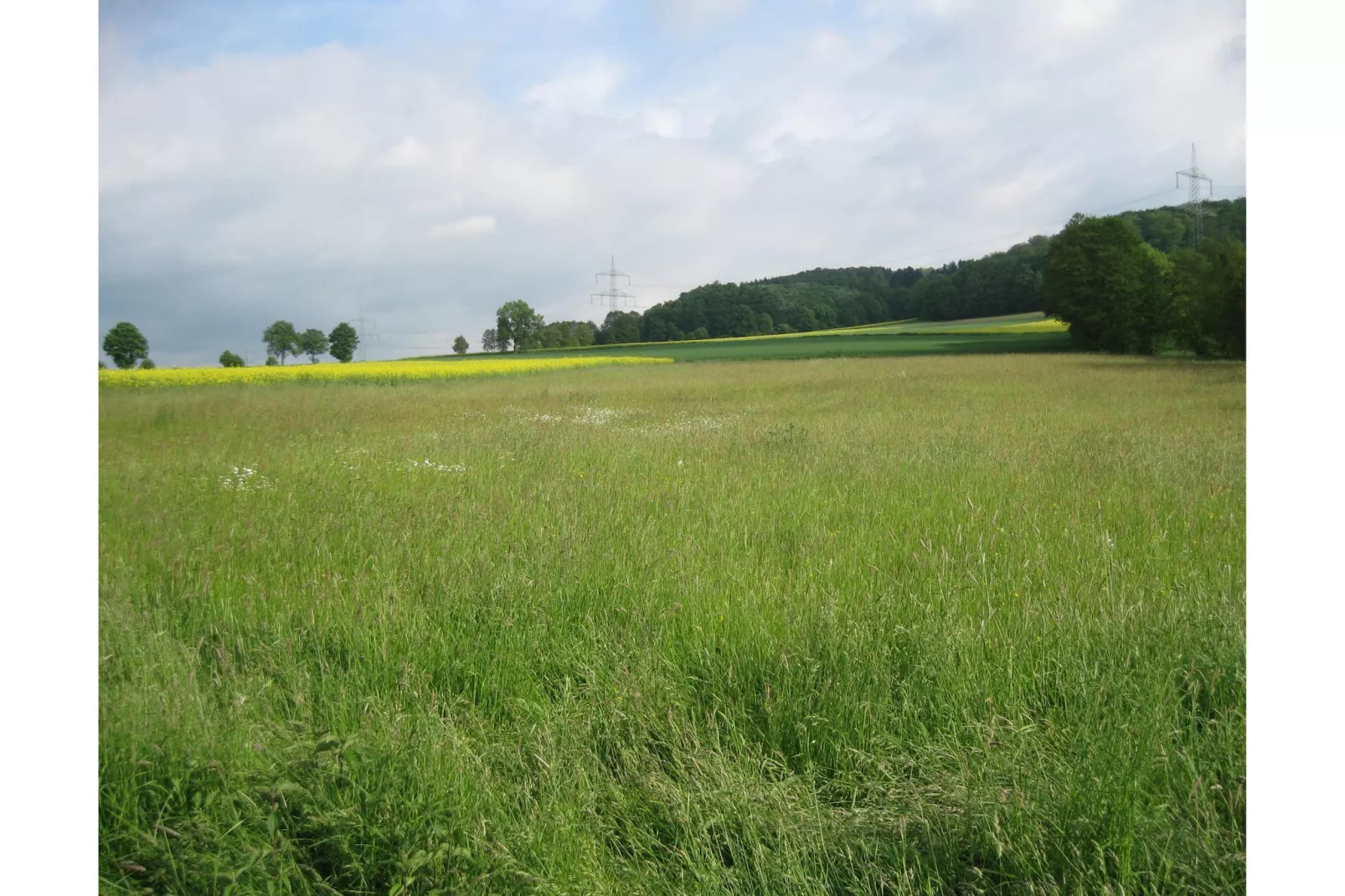 Gästehaus Kühne Fewo 1 OG-Gebieden zomer 1km