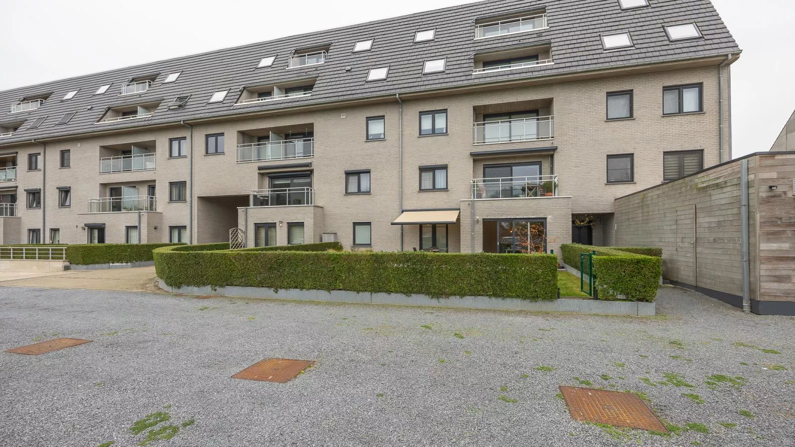 Lotus - 0003 + park. 3 - Buitenlucht