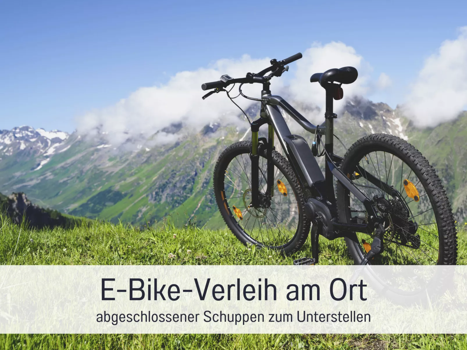 BERNSTEIN - Image-tags.info