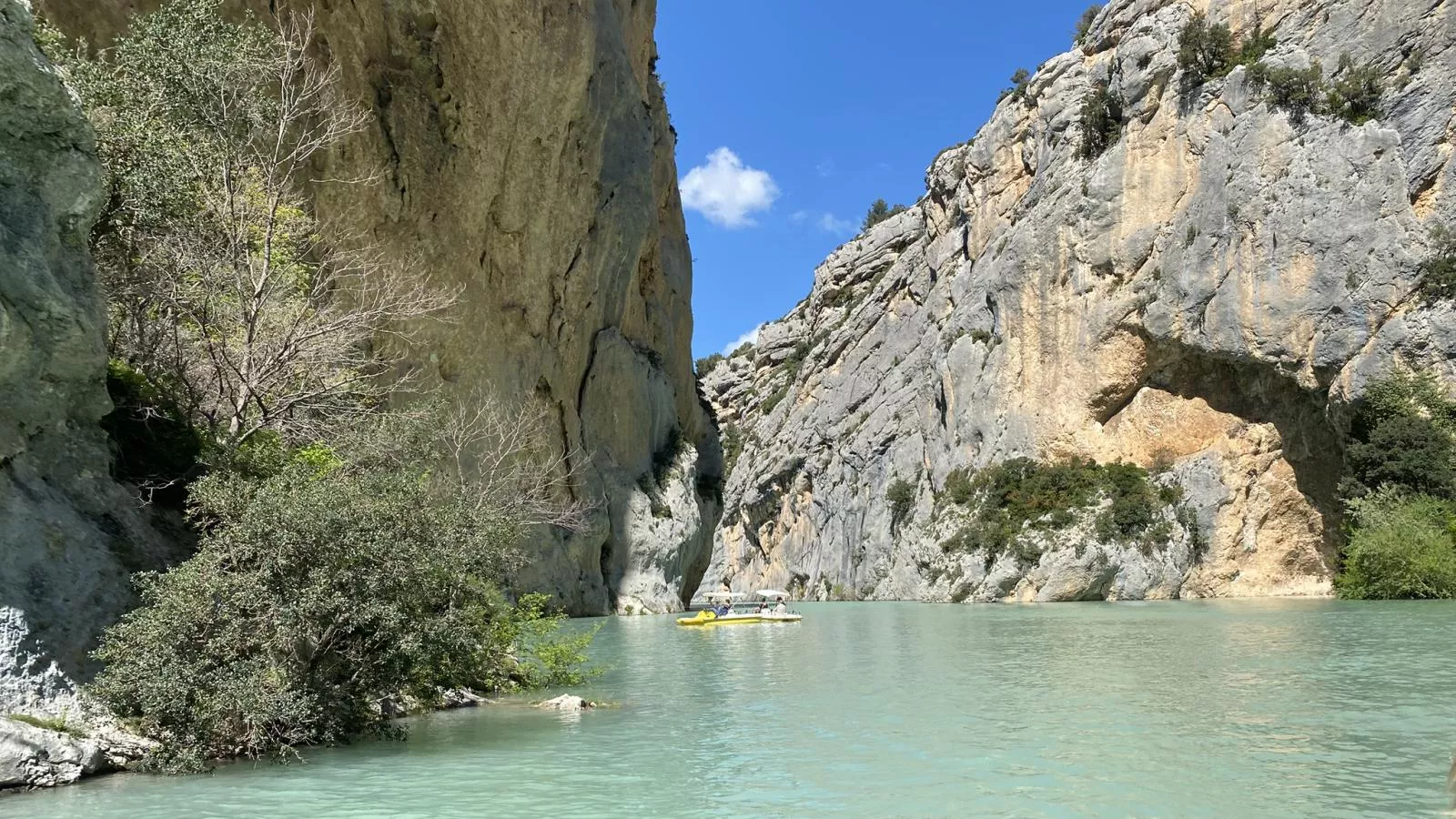 Ricavy - Gebieden zomer 20km