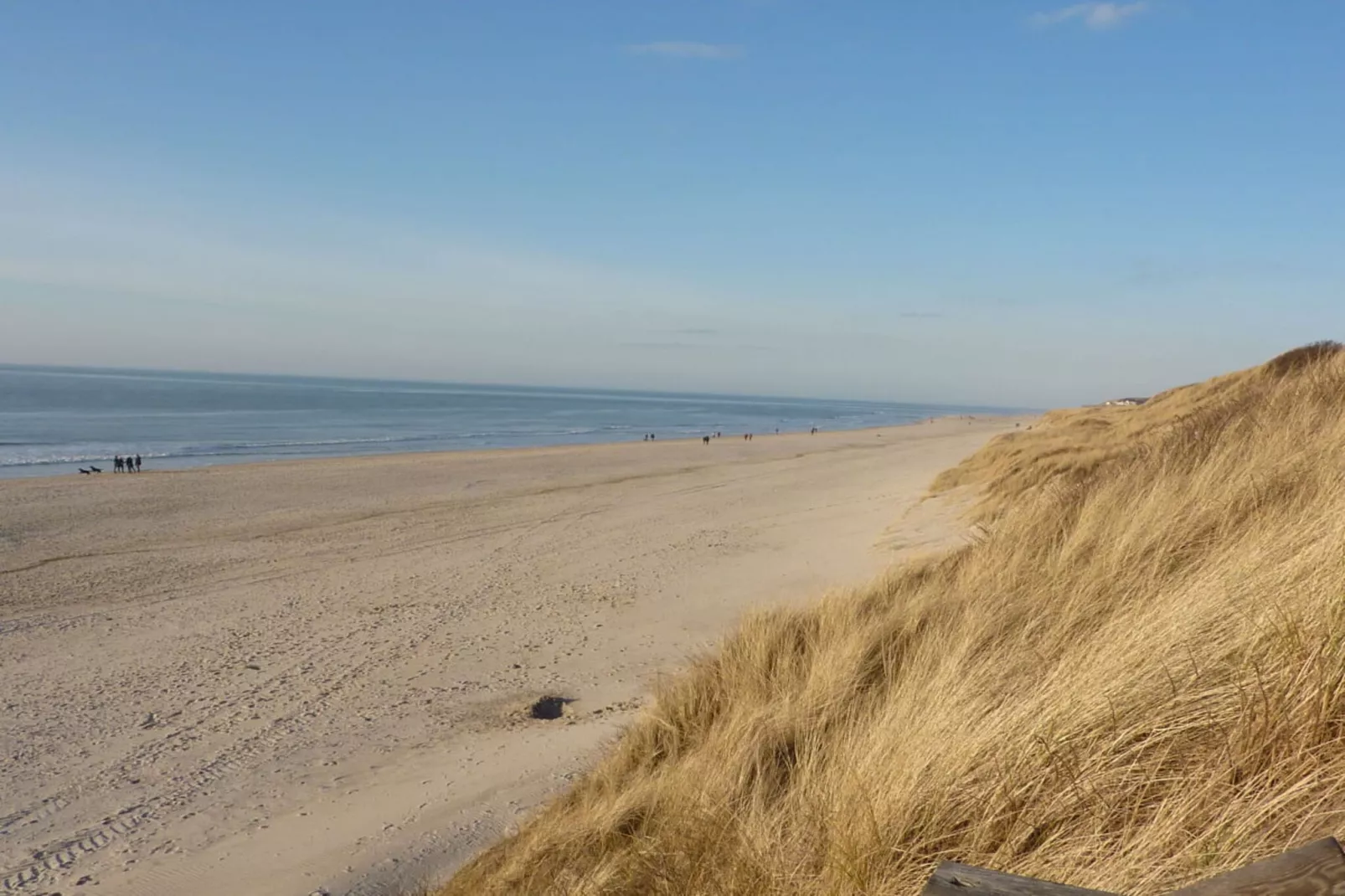 41327-Gebieden zomer 5km