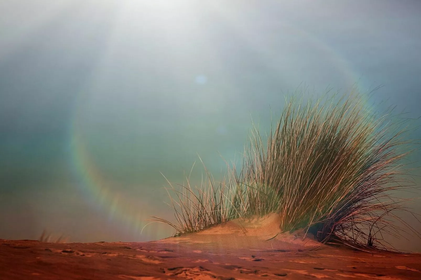 67704-Gebieden zomer 5km