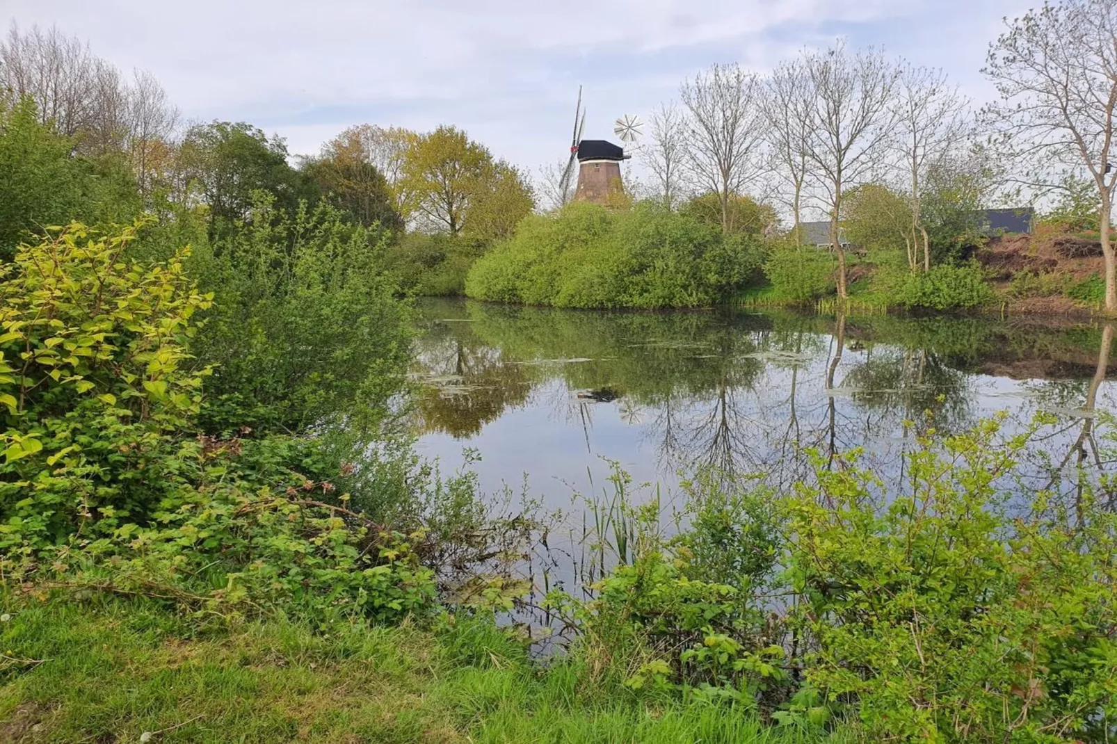 291420 - Gebieden zomer 5km