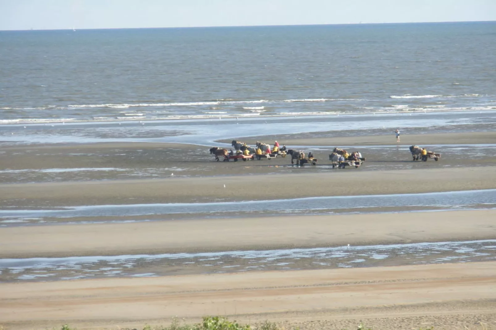 129699 - Gebieden zomer 5km
