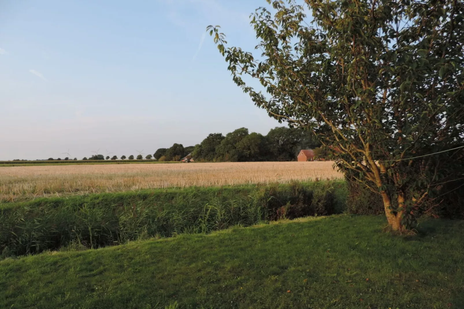 79433 - Tuinen zomer