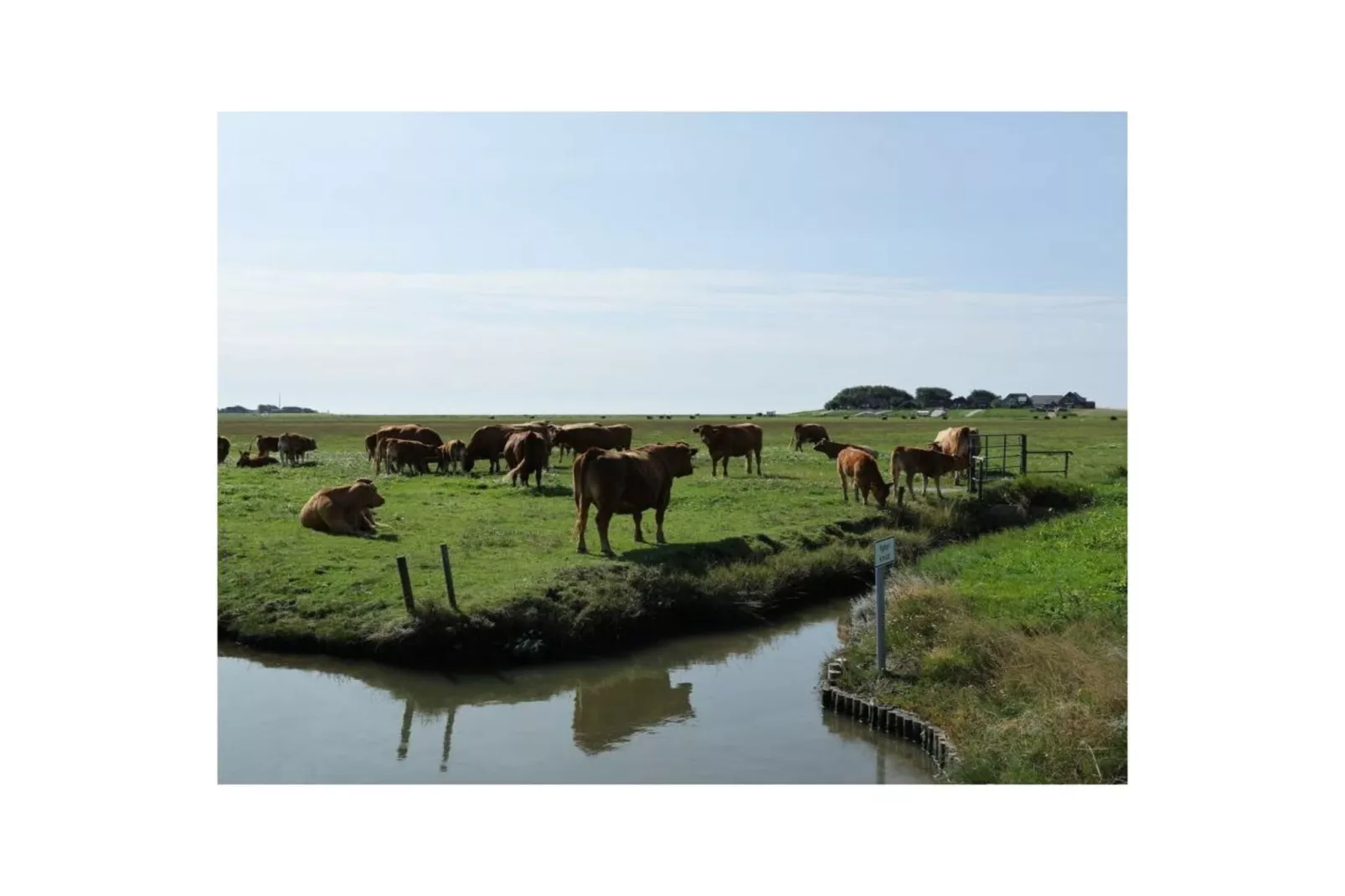487221-Gebieden zomer 5km
