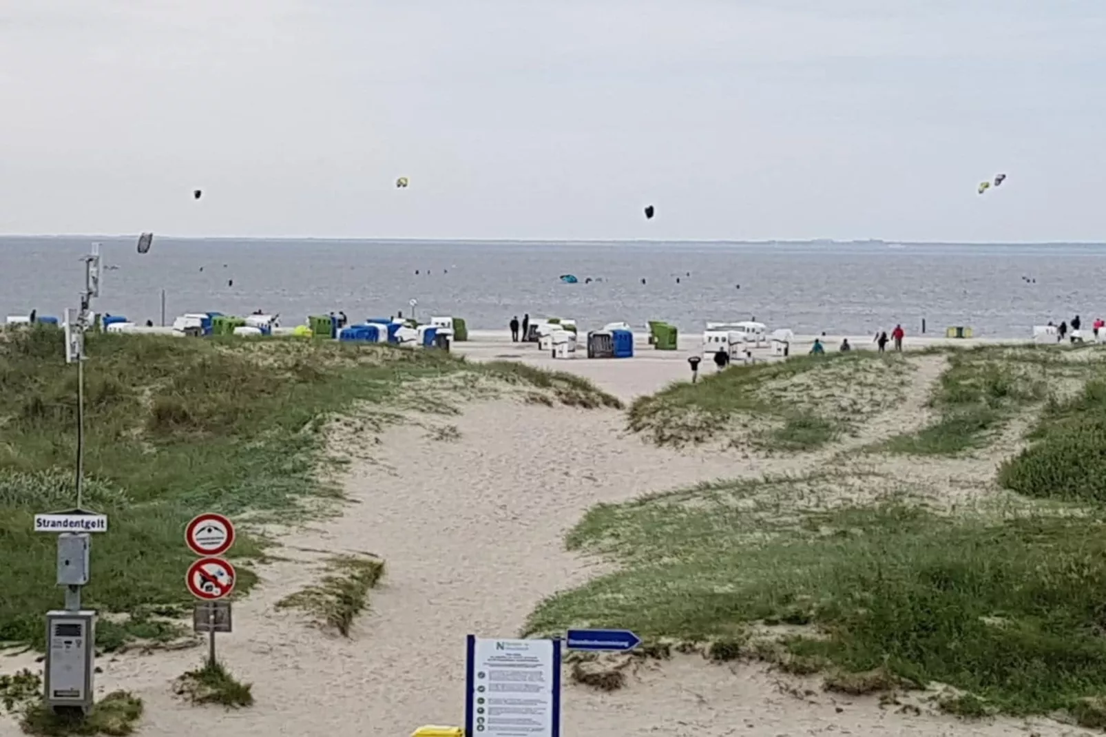 271353 - Image-tags.water view