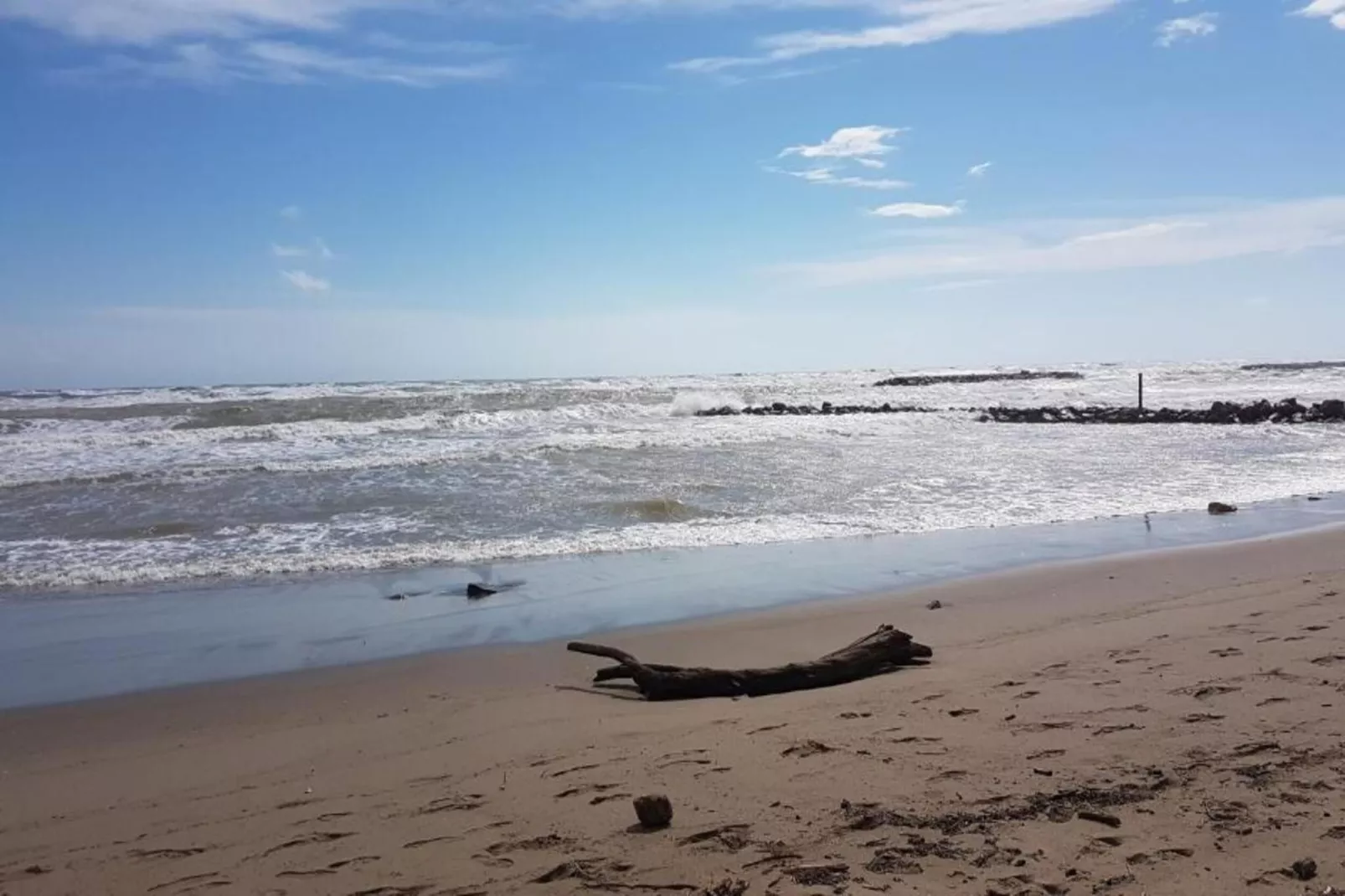 La Dune N°73 - Villa 4P9-Gebieden zomer 1km