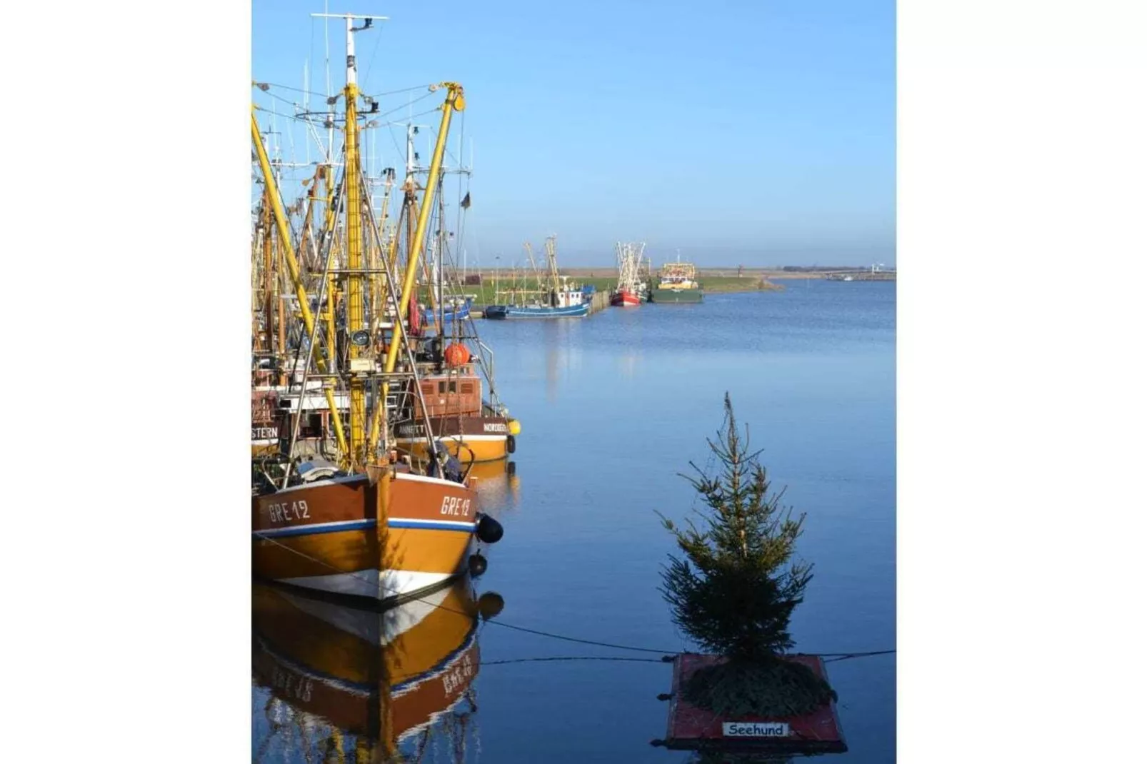 184619 - Gebieden zomer 5km