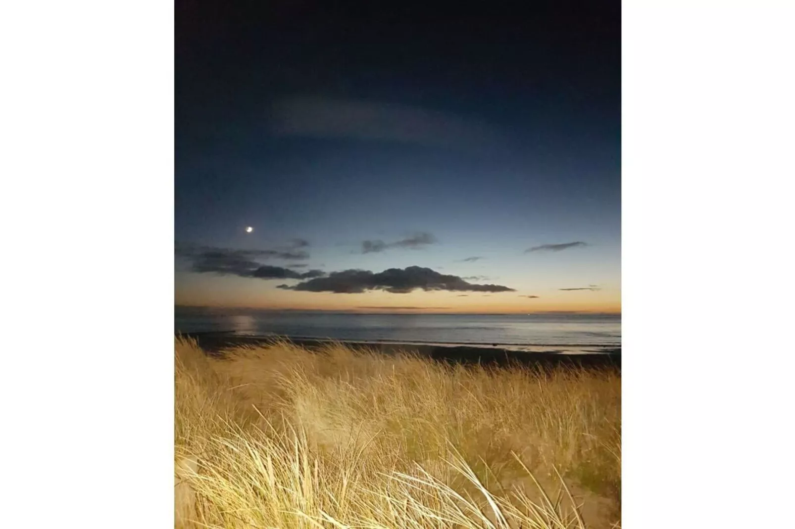 124191-Gebieden zomer 1km