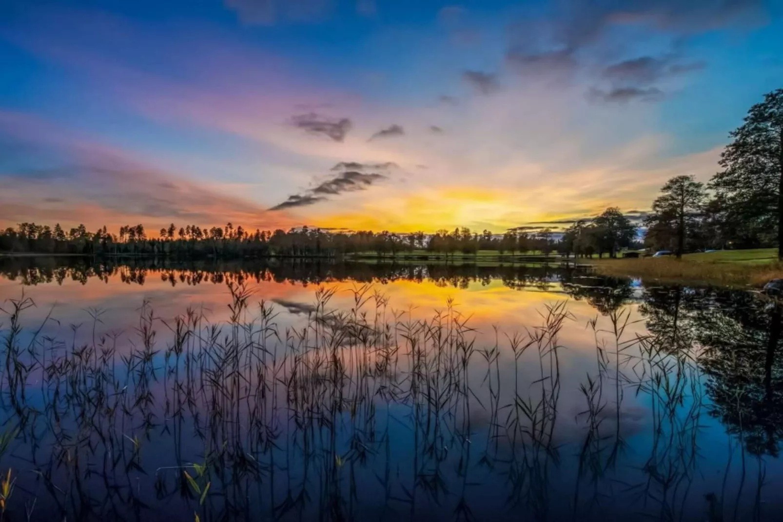 Standard rum - Waterzicht