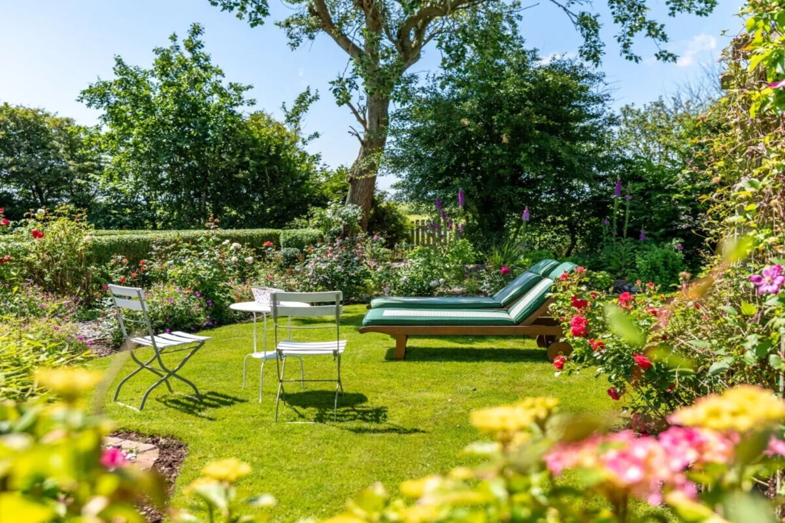 612329 - Tuinen zomer