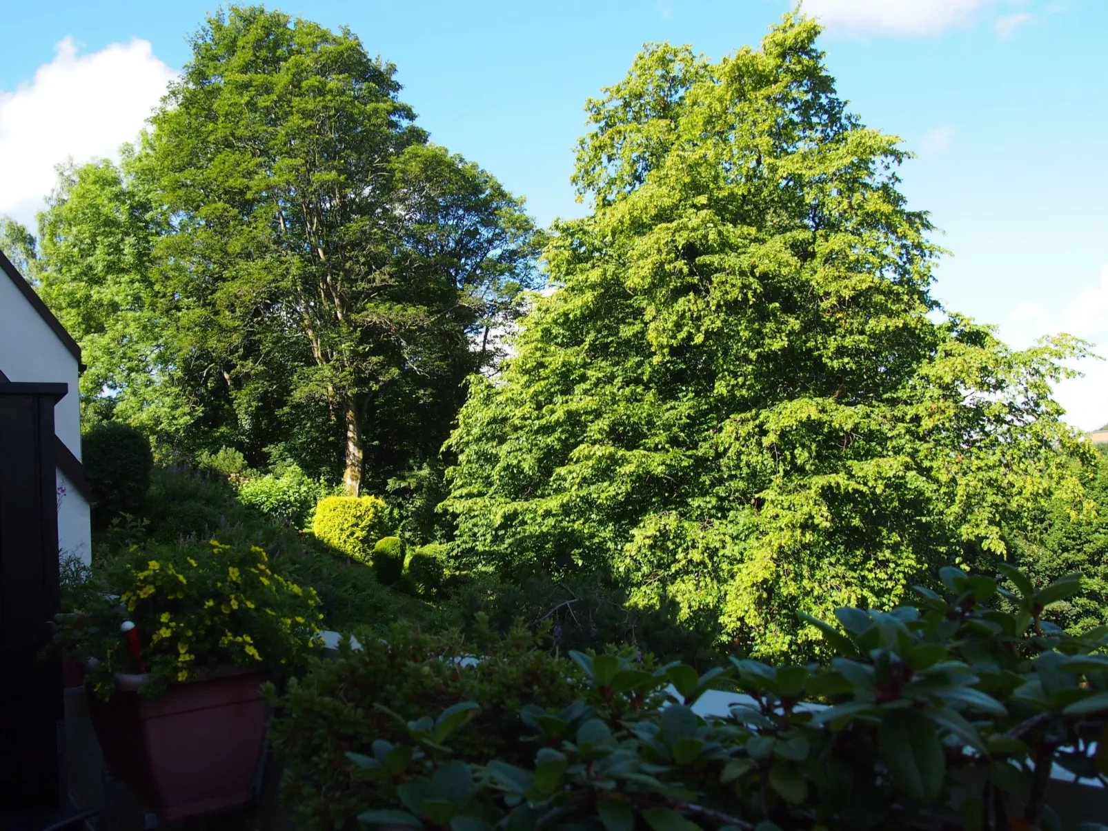 Harzgrün - Image-tags.info