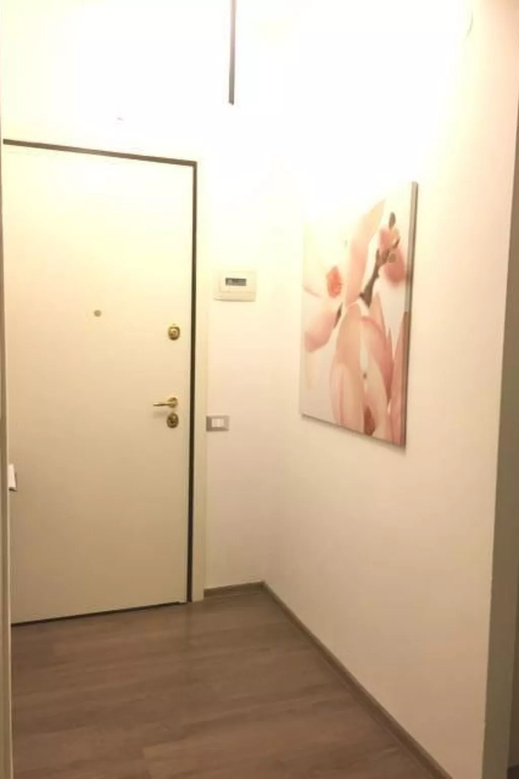 Casa Miki - Image-tags.info