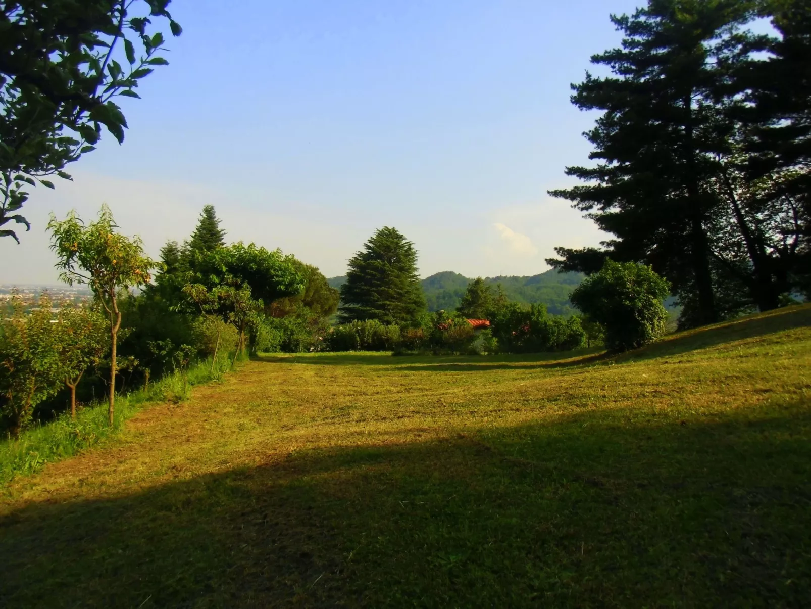 TaiObe - Fröhliches Partyhaus - Image-tags.info