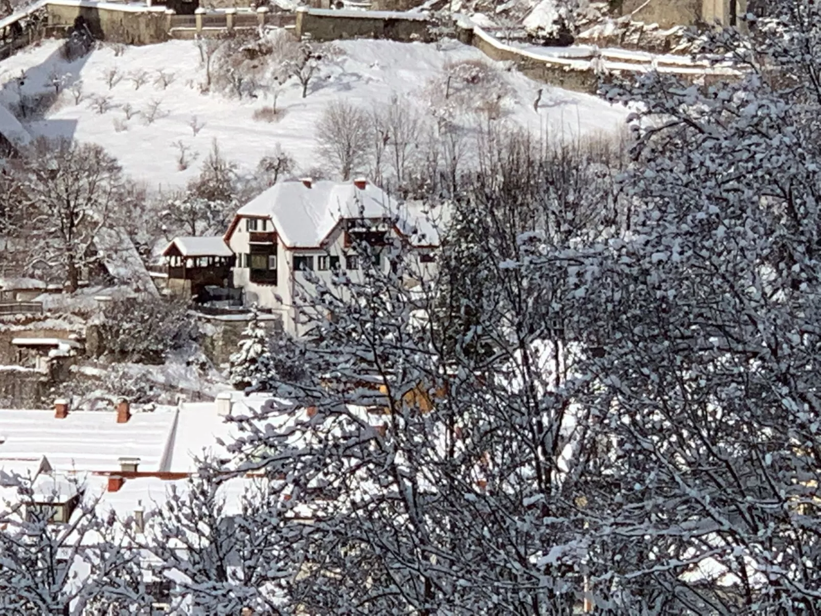 Chalet Elsa Murau - Buiten