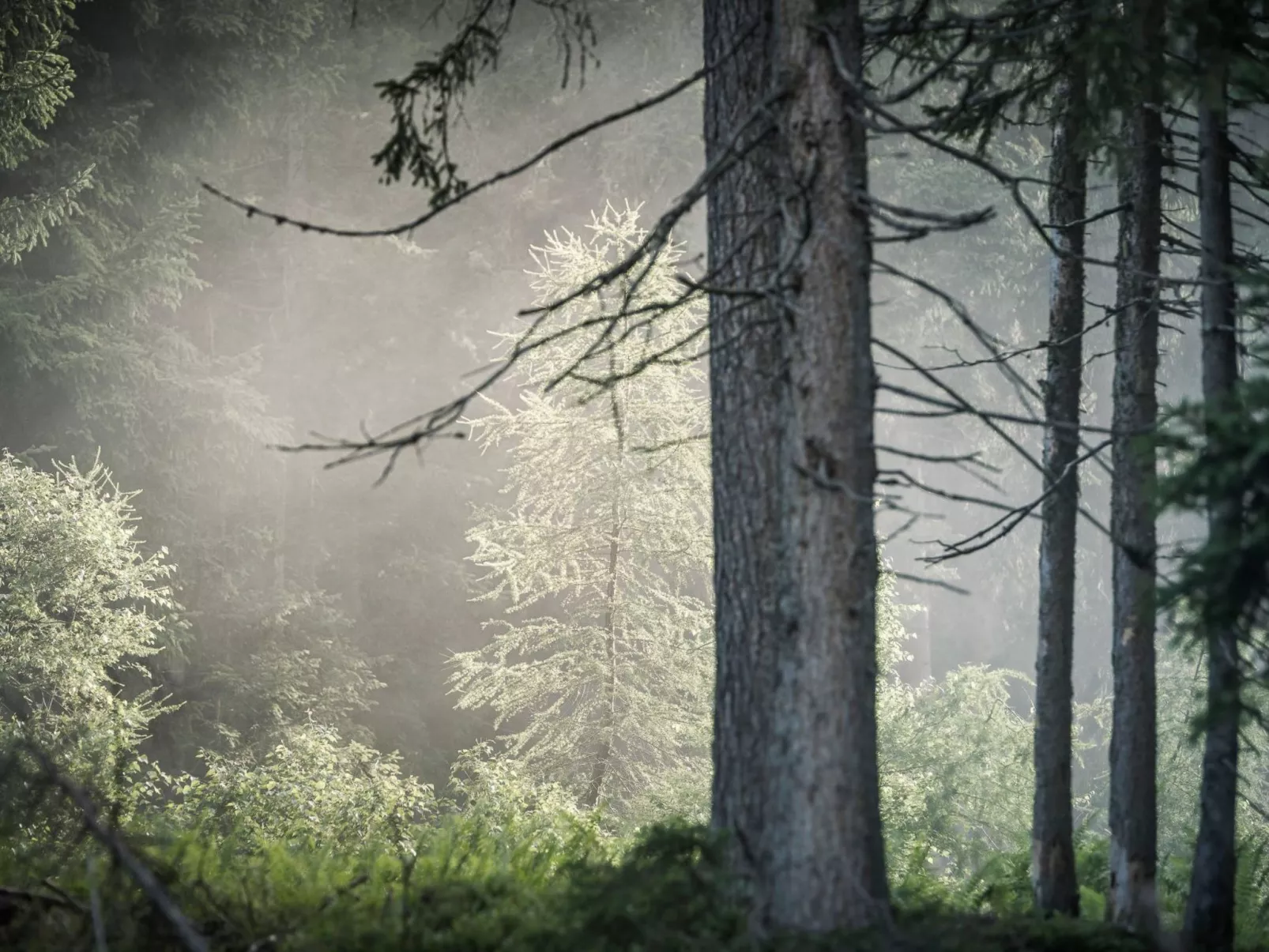 Berg Hütte Hochpillberg - Image-tags.info