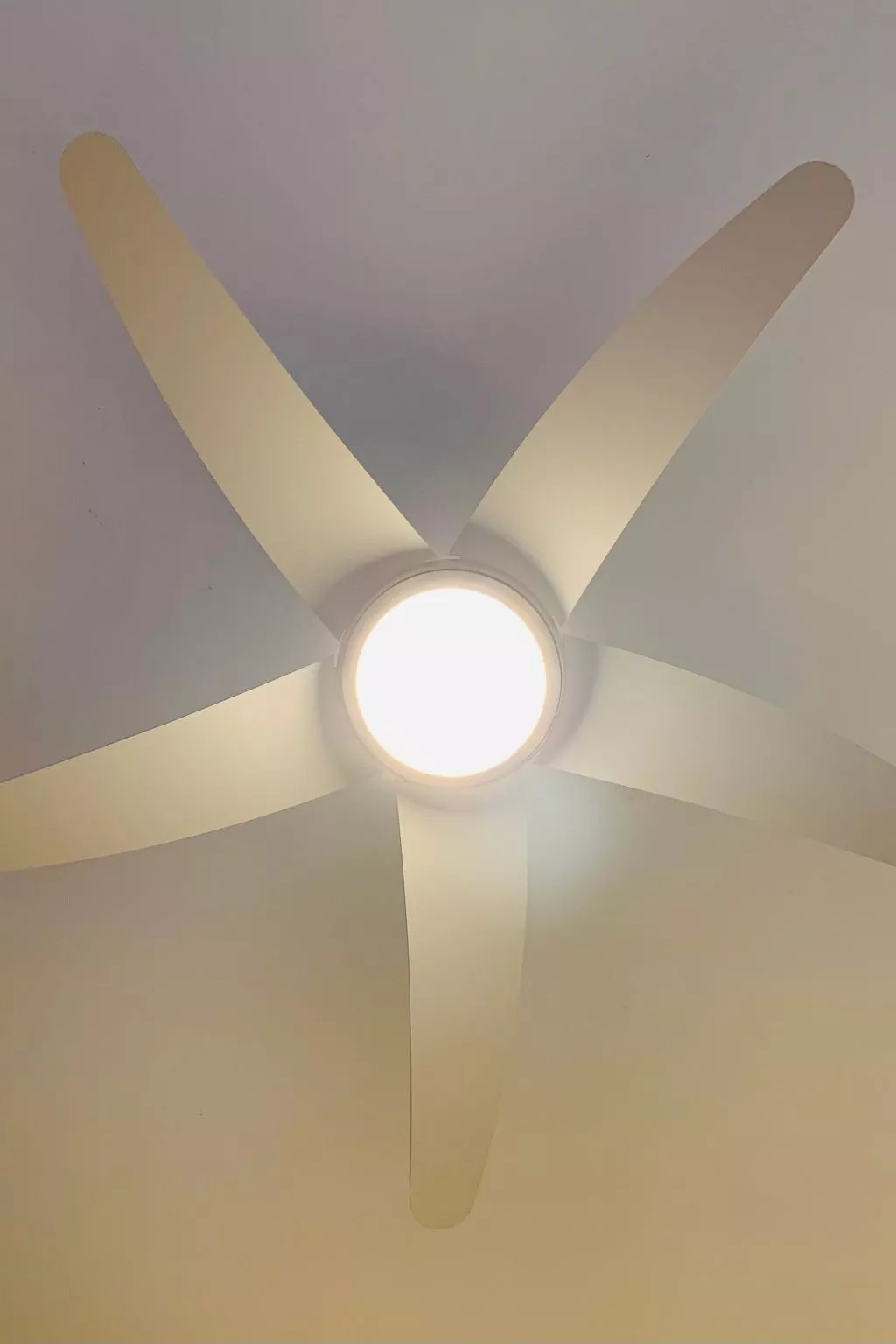 Wohnung in Duhnen und Meerblick - Image-tags.info