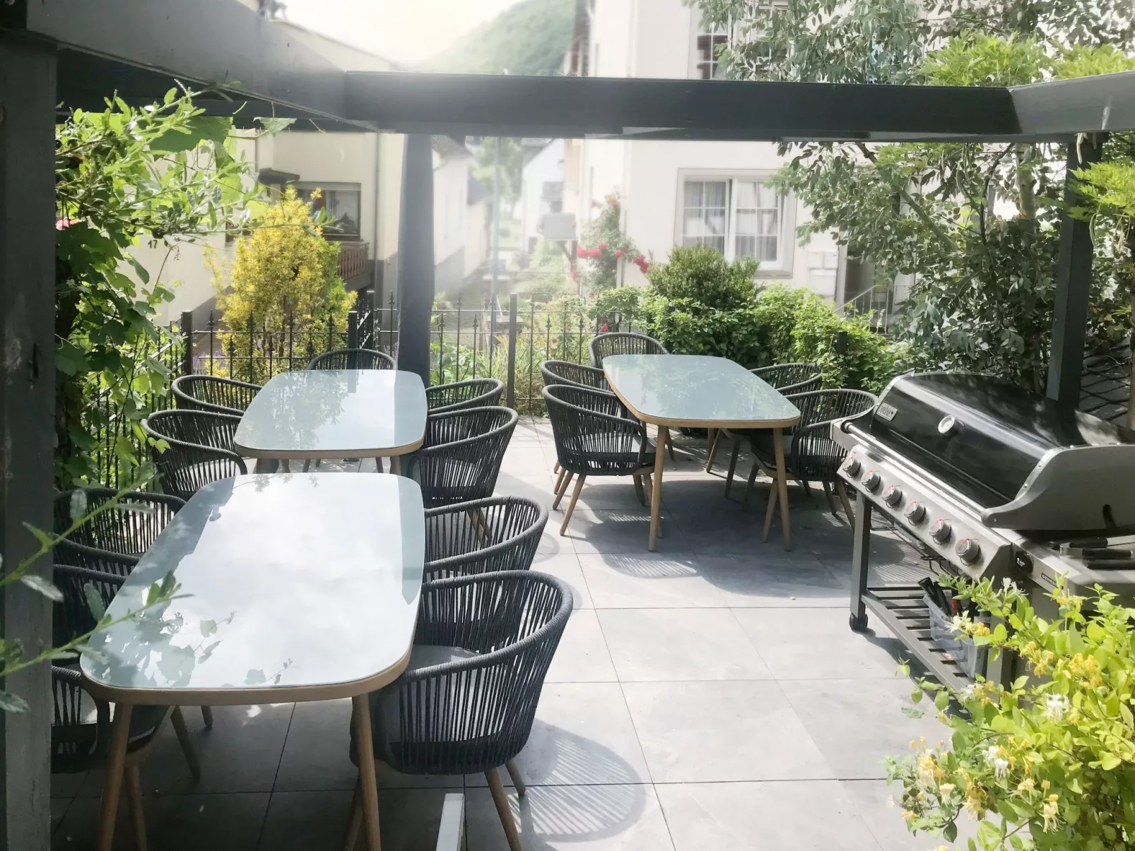 Olive Tree - Image-tags.info