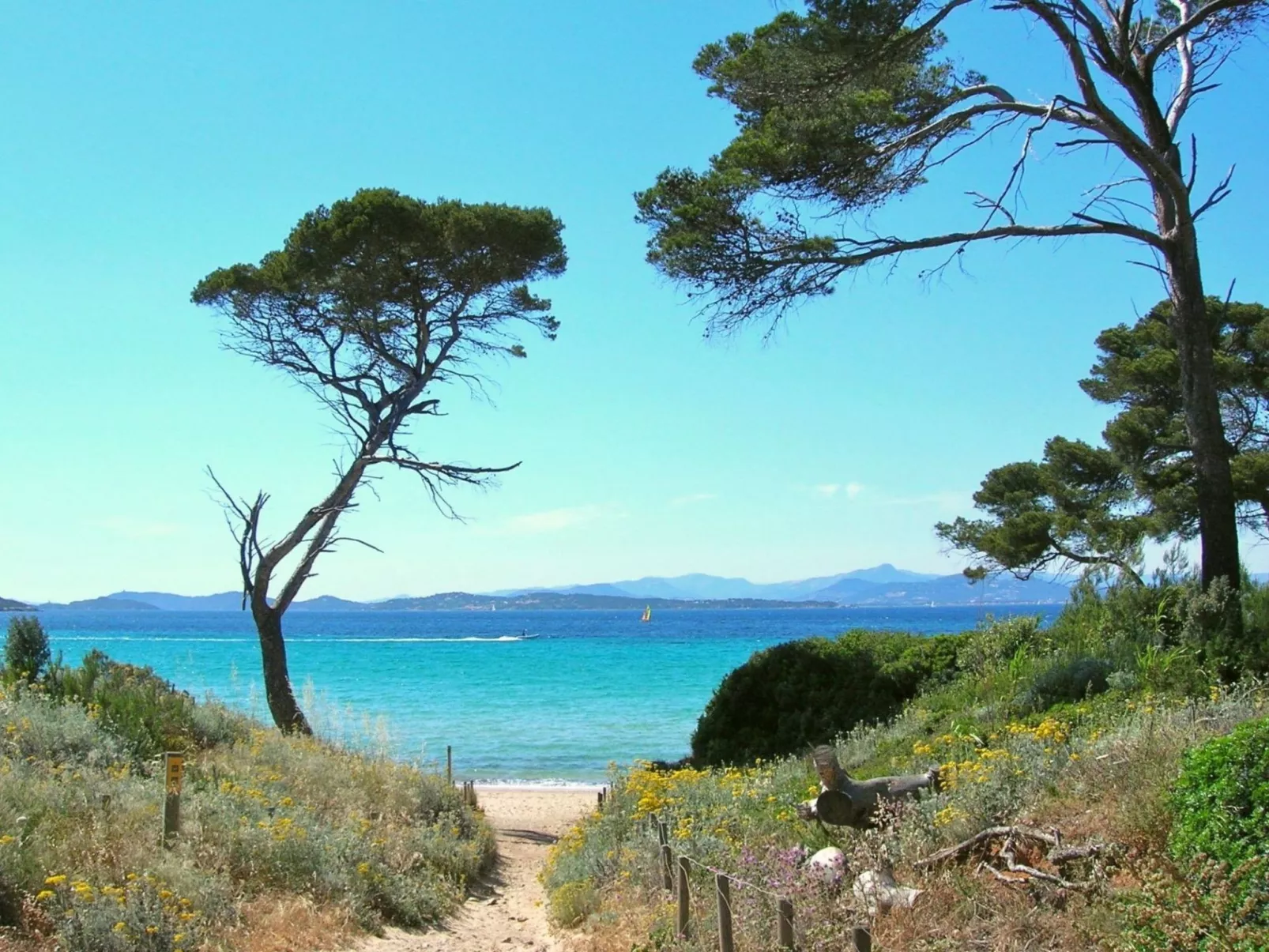 Provenzalisches Landhaus am Meer in ruhiger Lage. - Image-tags.info