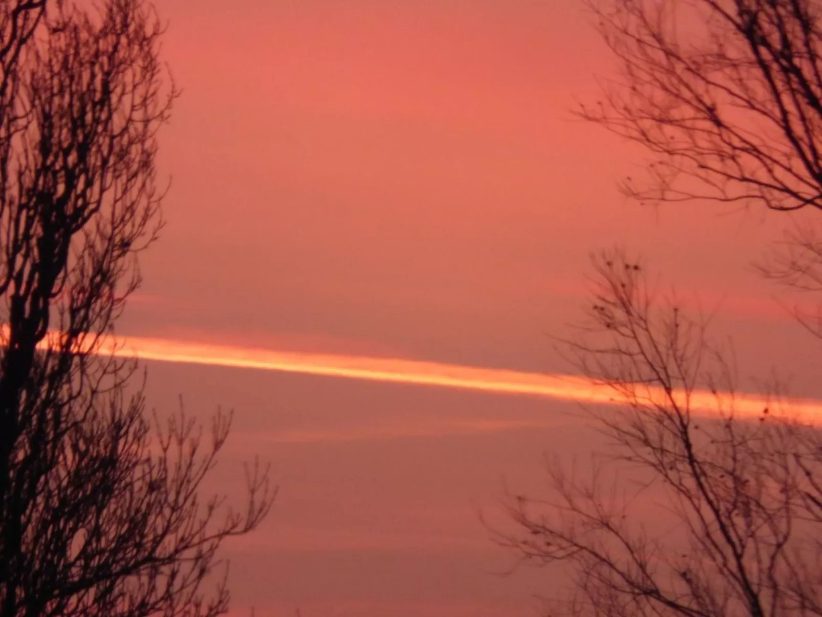 An der Flut 269 - Image-tags.info