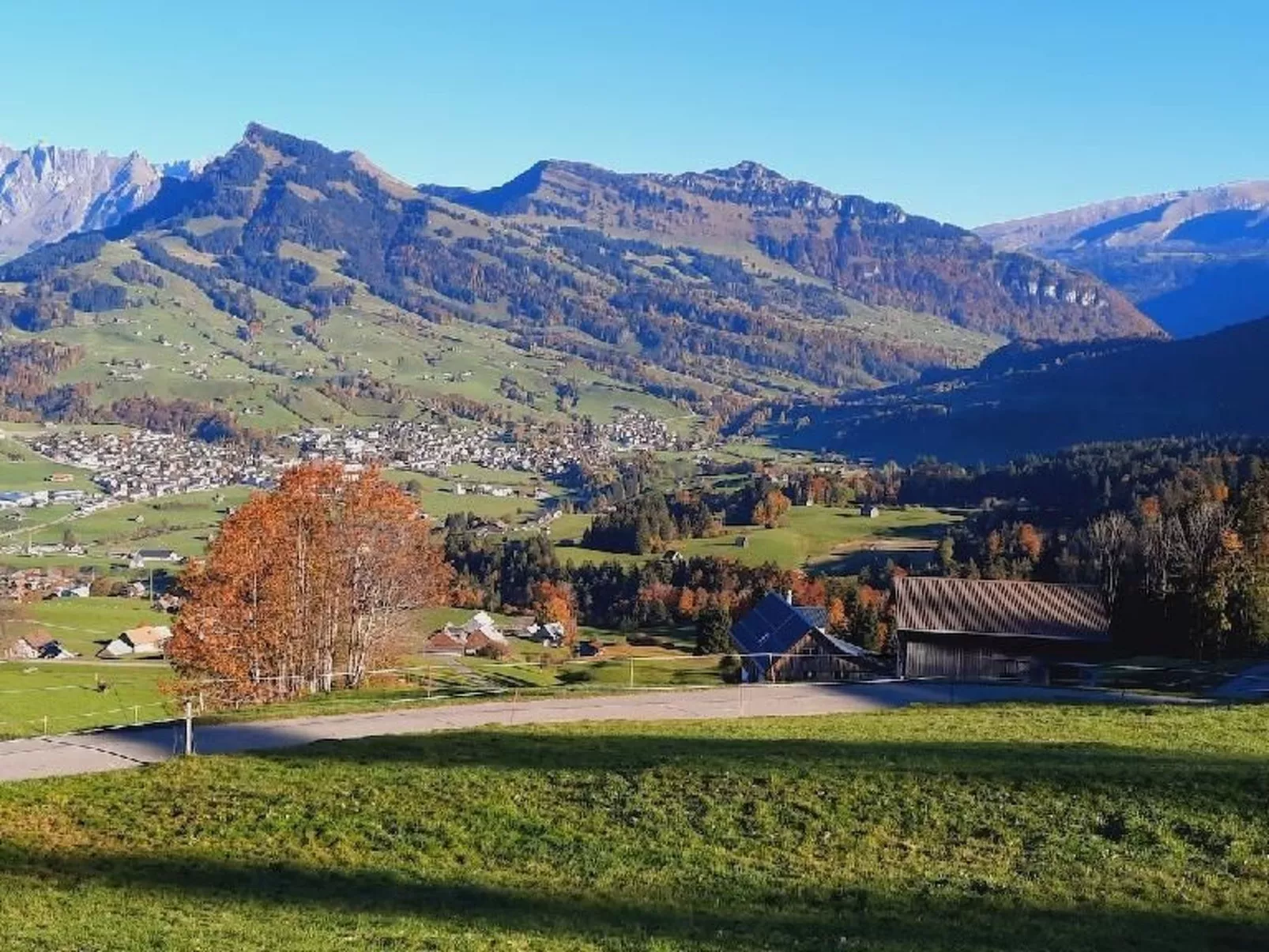 Gemütliche und geräumige Ferienwohnung - Buiten