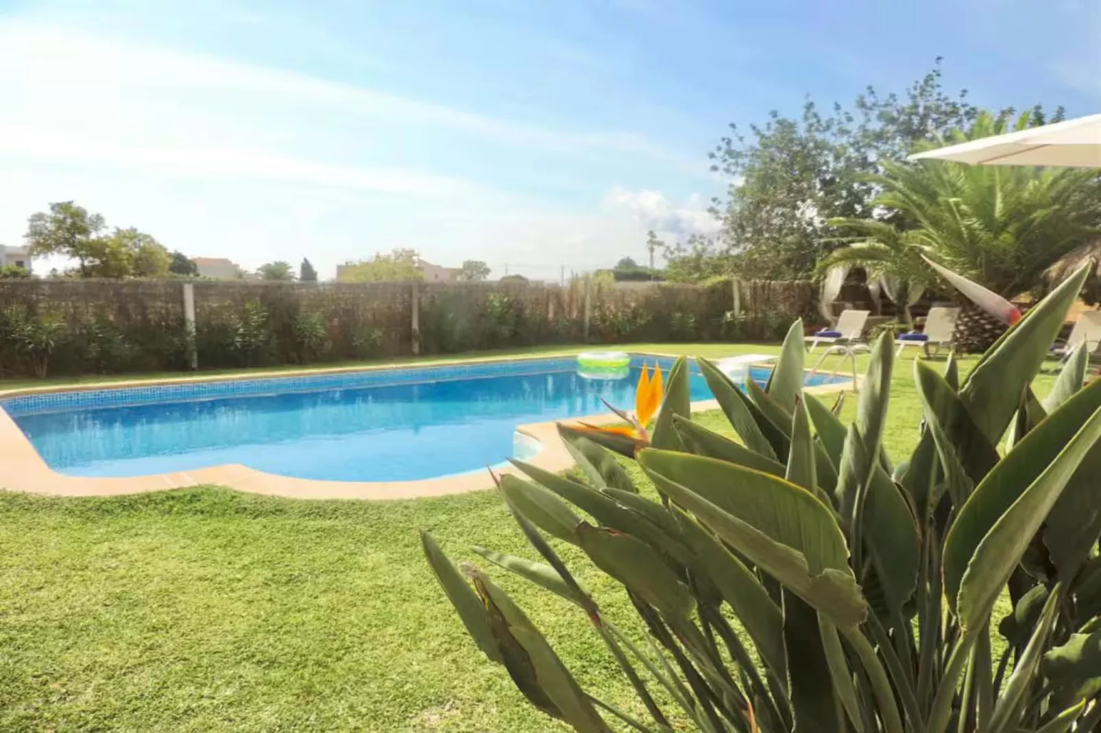 Casa Olivo - Zwembad