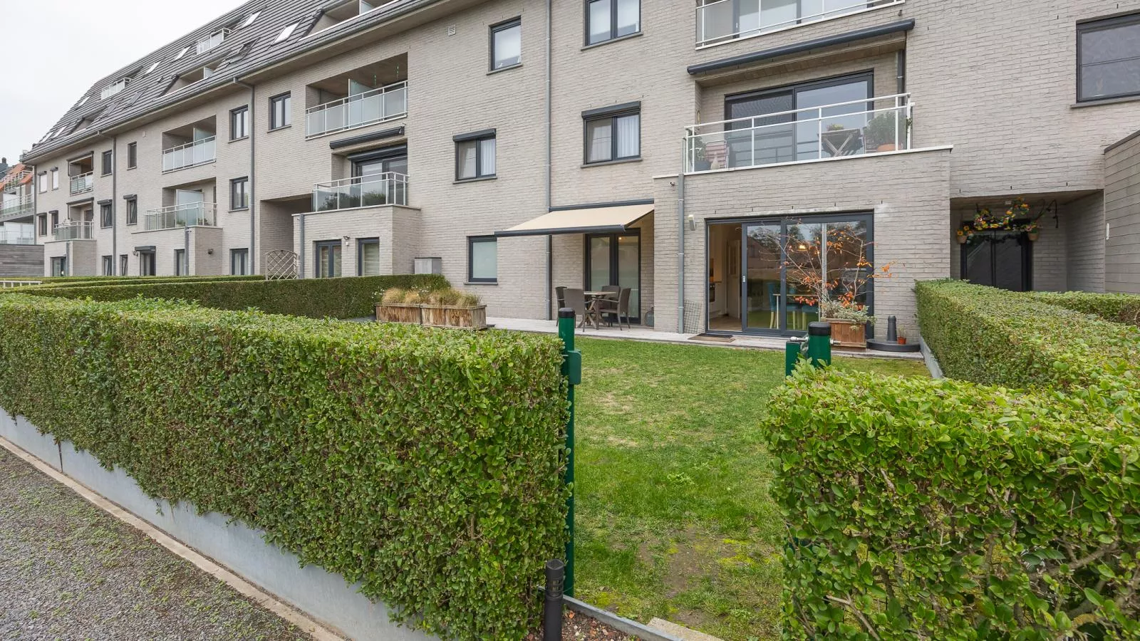 Lotus - 0003 + park. 3 - Buitenlucht