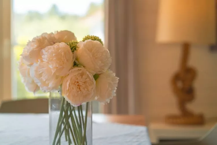 Seewind / 8 Personen-Sfeer