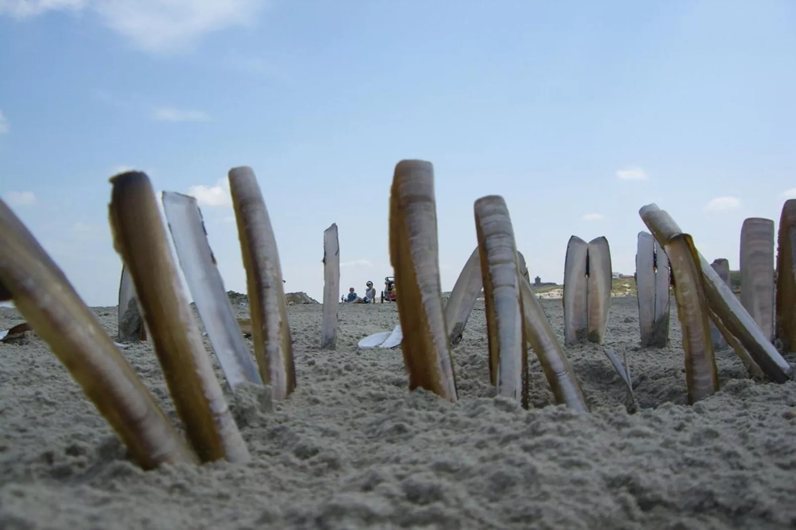 249875-Gebieden zomer 5km