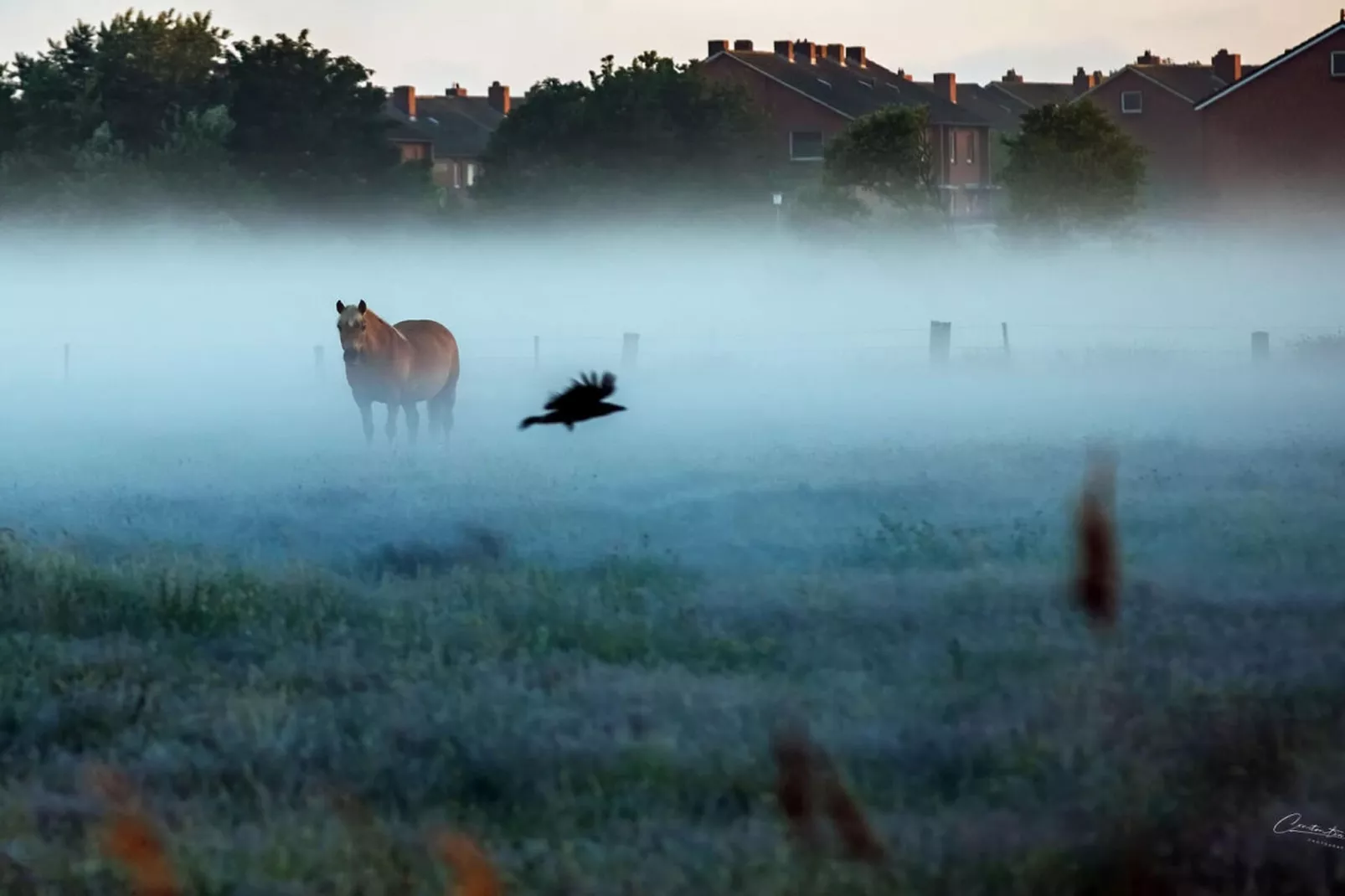 67704-Gebieden zomer 5km
