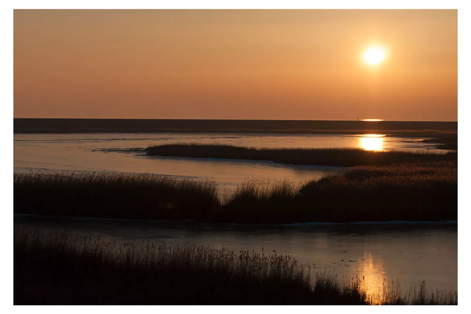 289188-Gebieden zomer 5km
