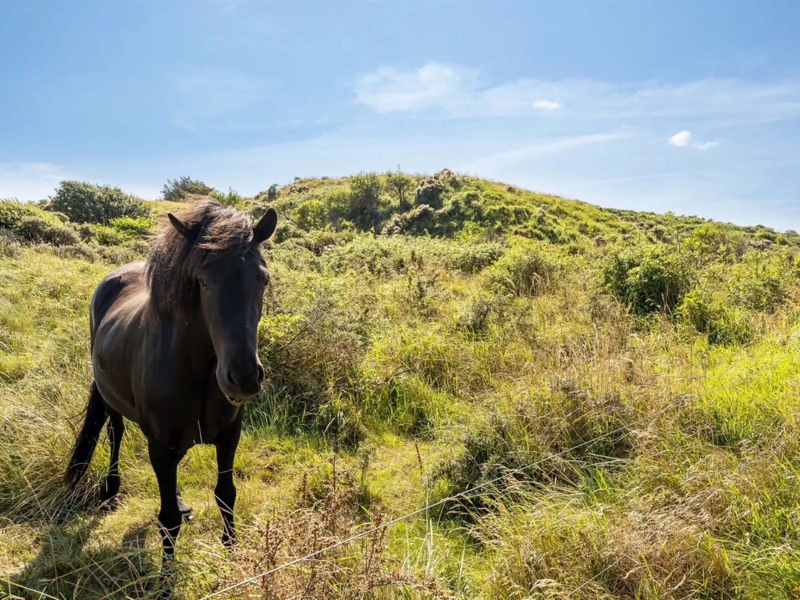 "Senija" - 334m from the sea-Buiten