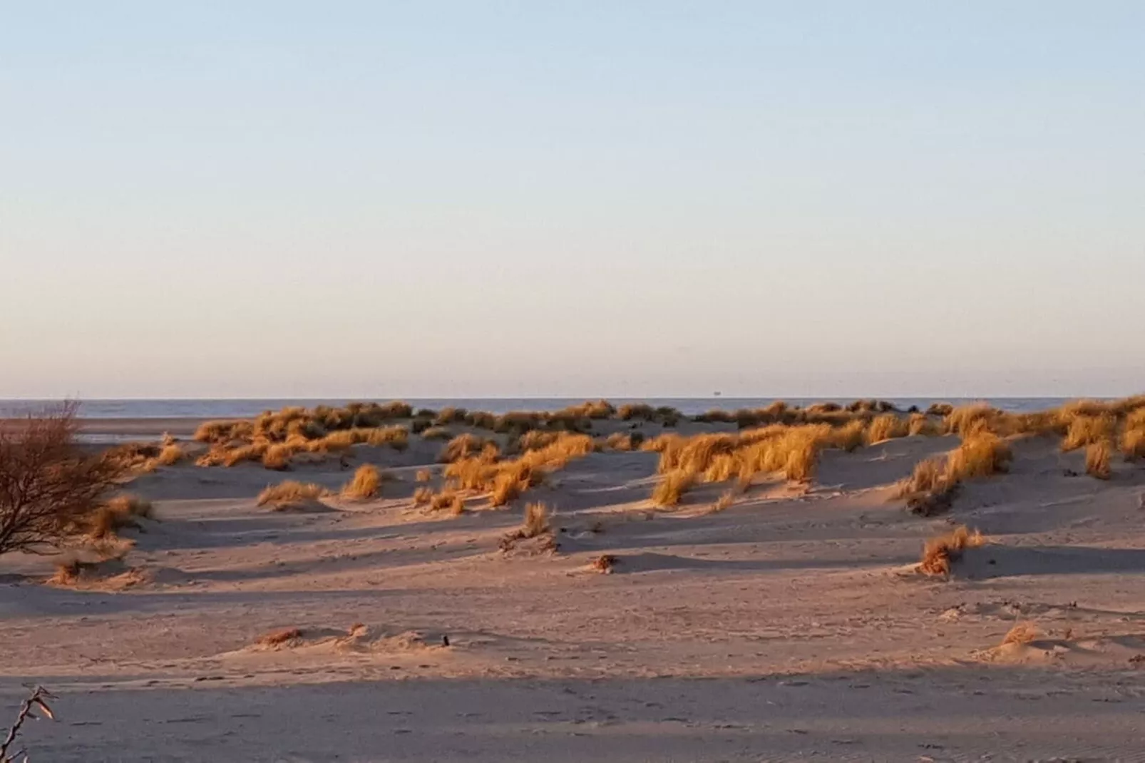 317529-Gebieden zomer 5km