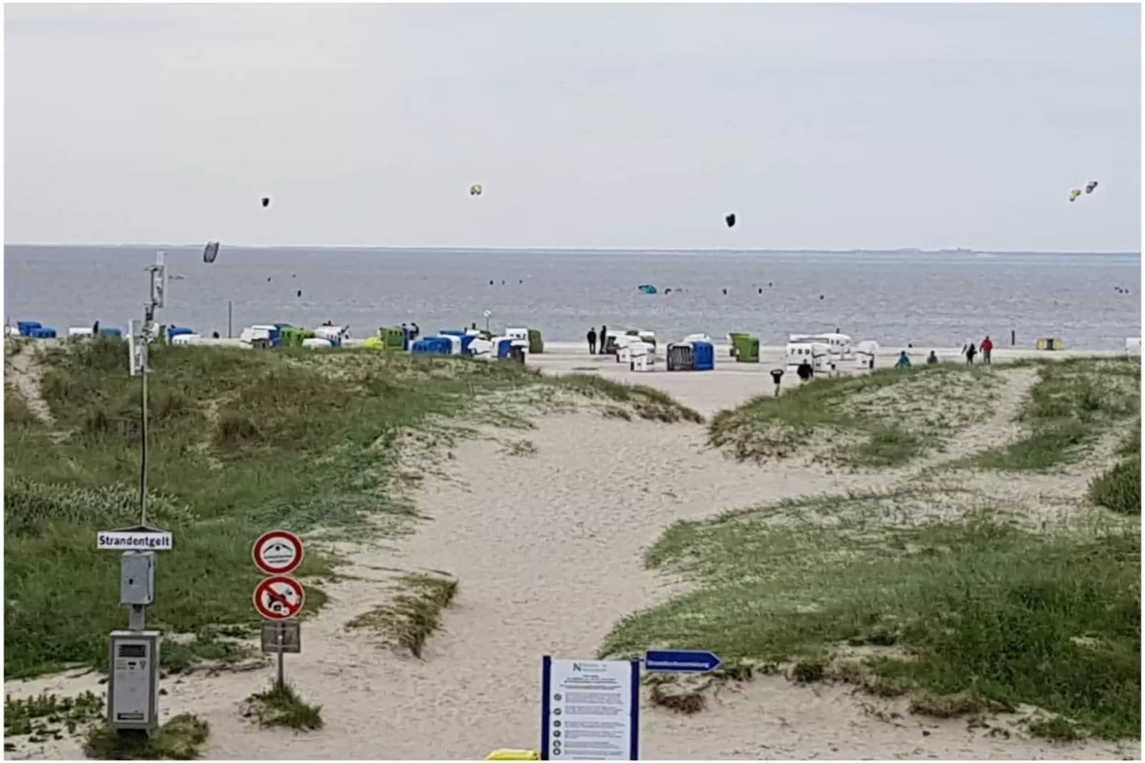 271353 - Image-tags.water view