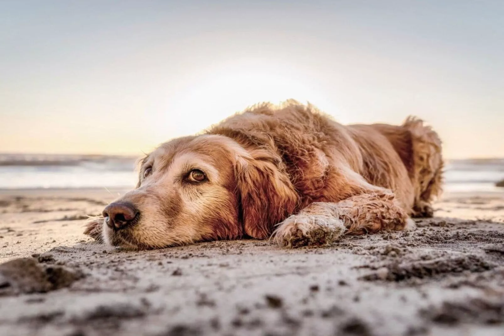 428970-Buitenkant zomer