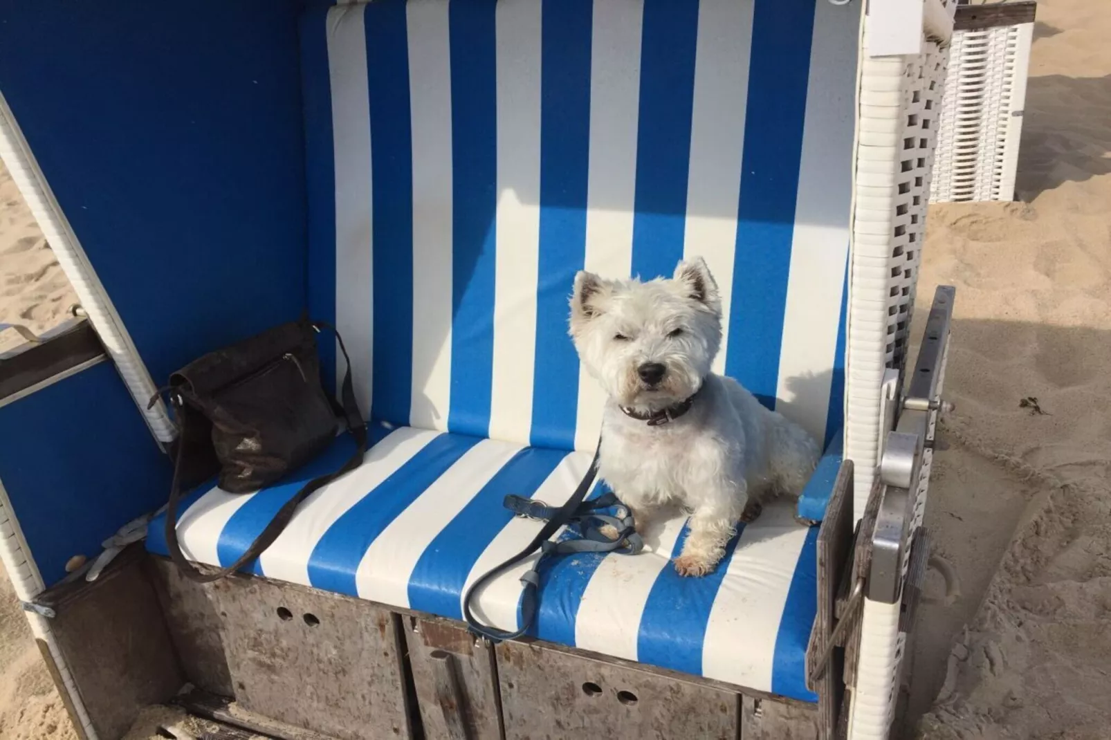 63510-Gebieden zomer 5km